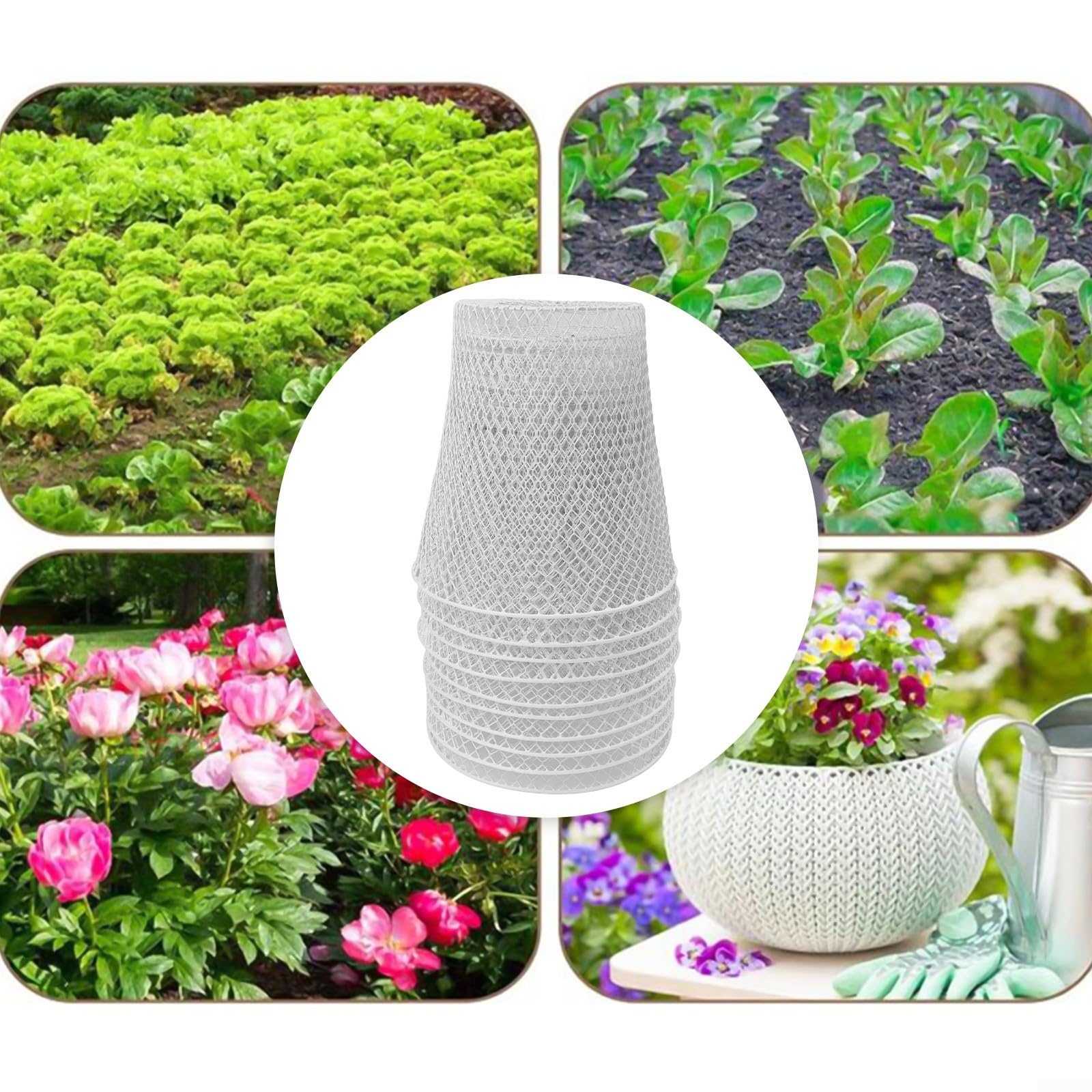 Paquete de 10 jaulas de protección de plantas, arte de hierro para verduras, árboles frutales, pájaros, barrera de plagas de jardín, valla de malla de 23 x 23 cm (blanco)