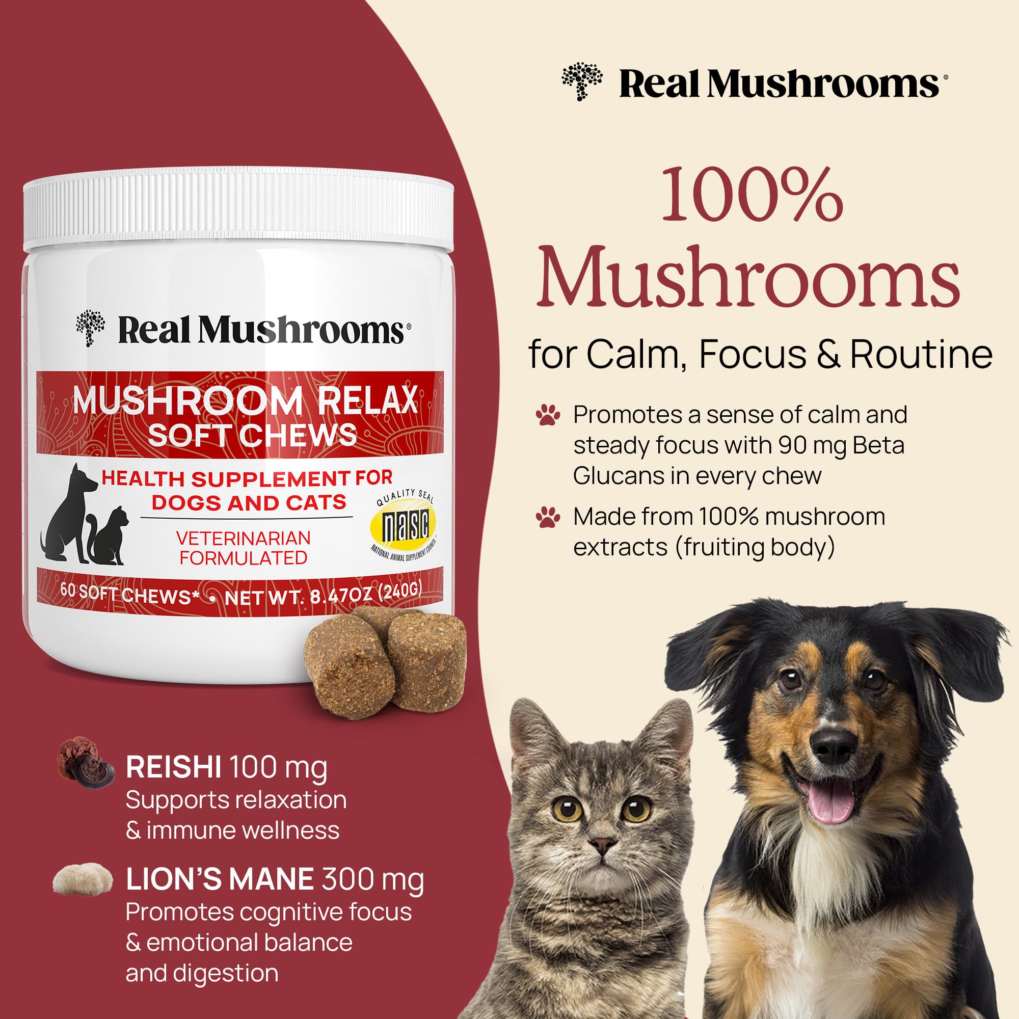 Real Mushrooms Masticables calmantes para perros, golosinas calmantes para gatos y perros, Reishi y melena de león, golosinas calmantes para perros, masticables calmantes para relajación, mordeduras