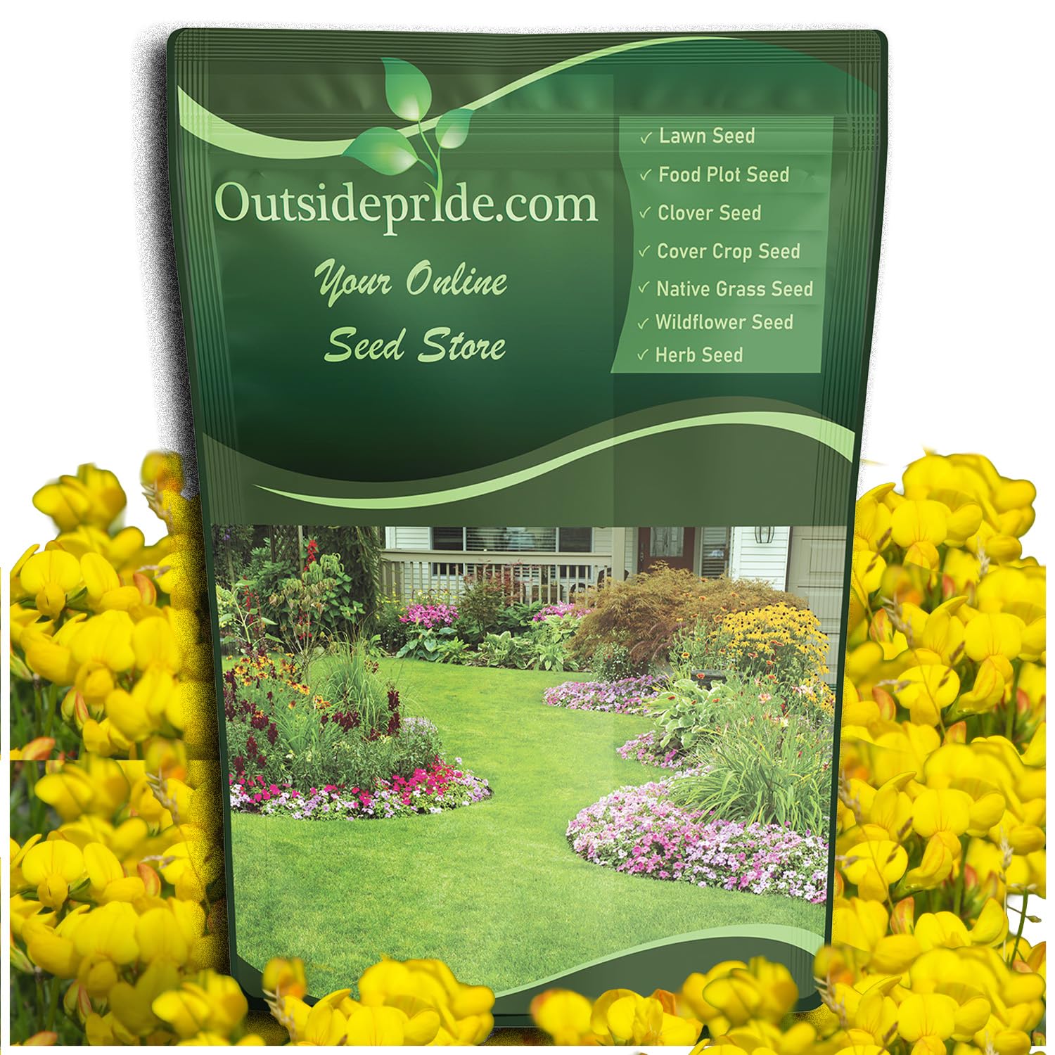 Outsidepride Perennial Birdsfoot Trefoil Seed