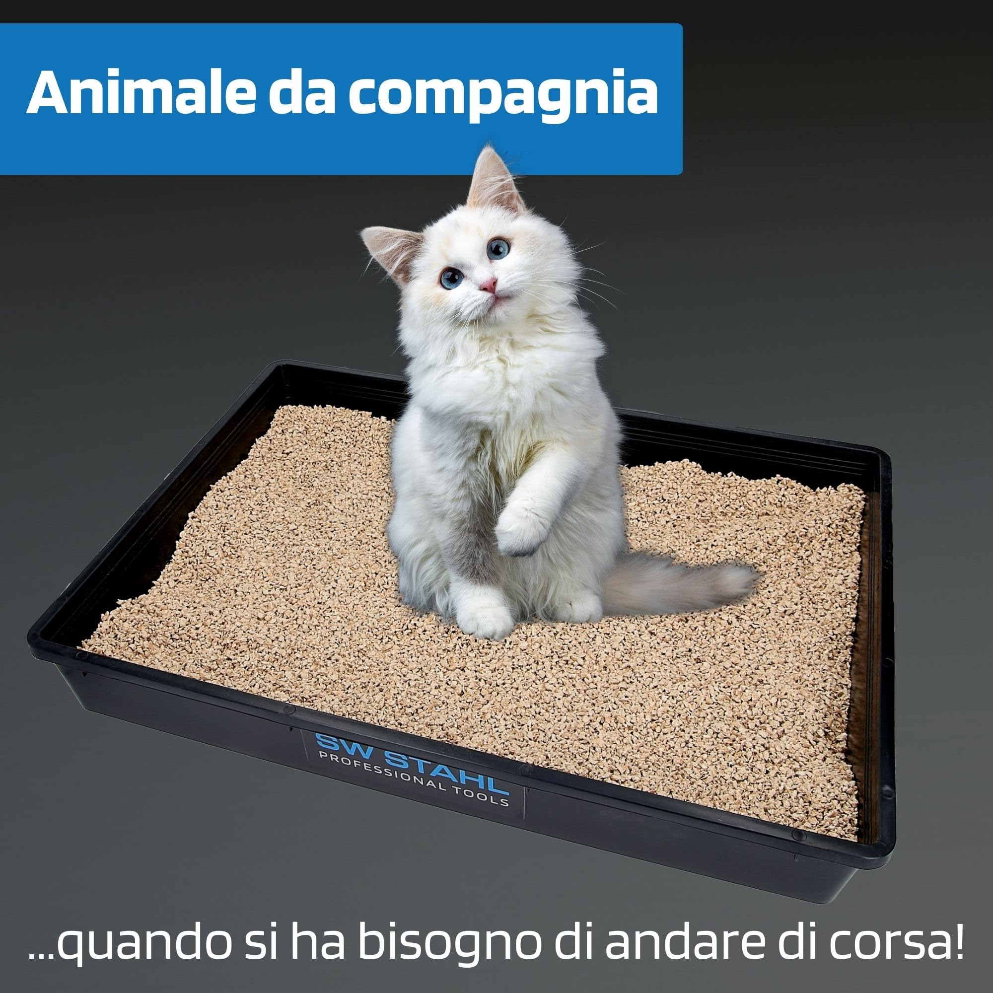 SW-Stahl 07376L Vassoio Universale, 560cm x 430cm x 85cm