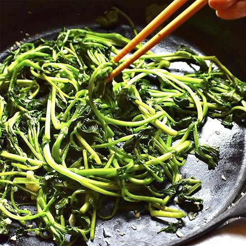 Miniatura 7 de QAUZUY GARDEN 600 semillas de berro de jardín de primera calidad (berro rizado) semillas de mostaza y berro, semillas de verduras tradicionales sin