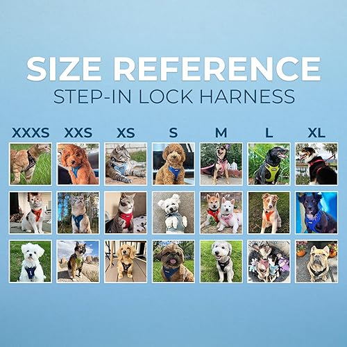 Miniatura 7 de Best Pet Supplies Voyager - Arnés para mascotas seguro y estilo de meter desde las patas, de malla para todo tipo de clima, ajustable para gatos y