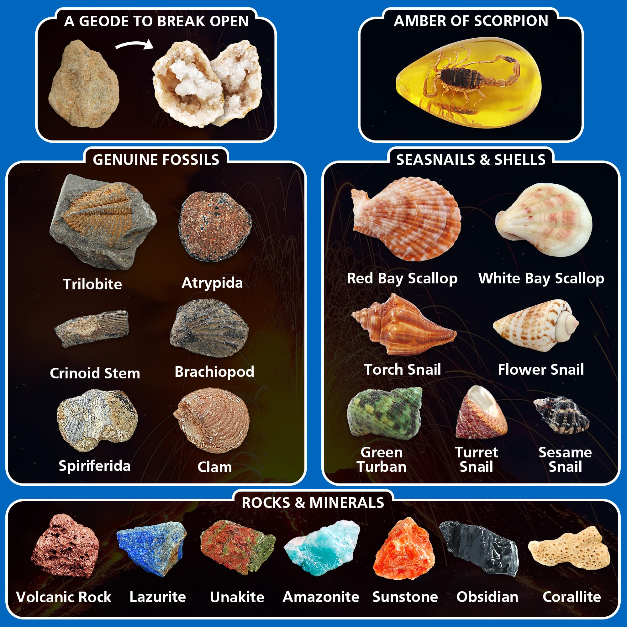 Kit de excavación de fósiles de volcán y océano, excava más de 20 fósiles reales, rocas, conchas y caracoles marinos con experimentos de errupción, kit de geología de ciencia de la tierra para 4