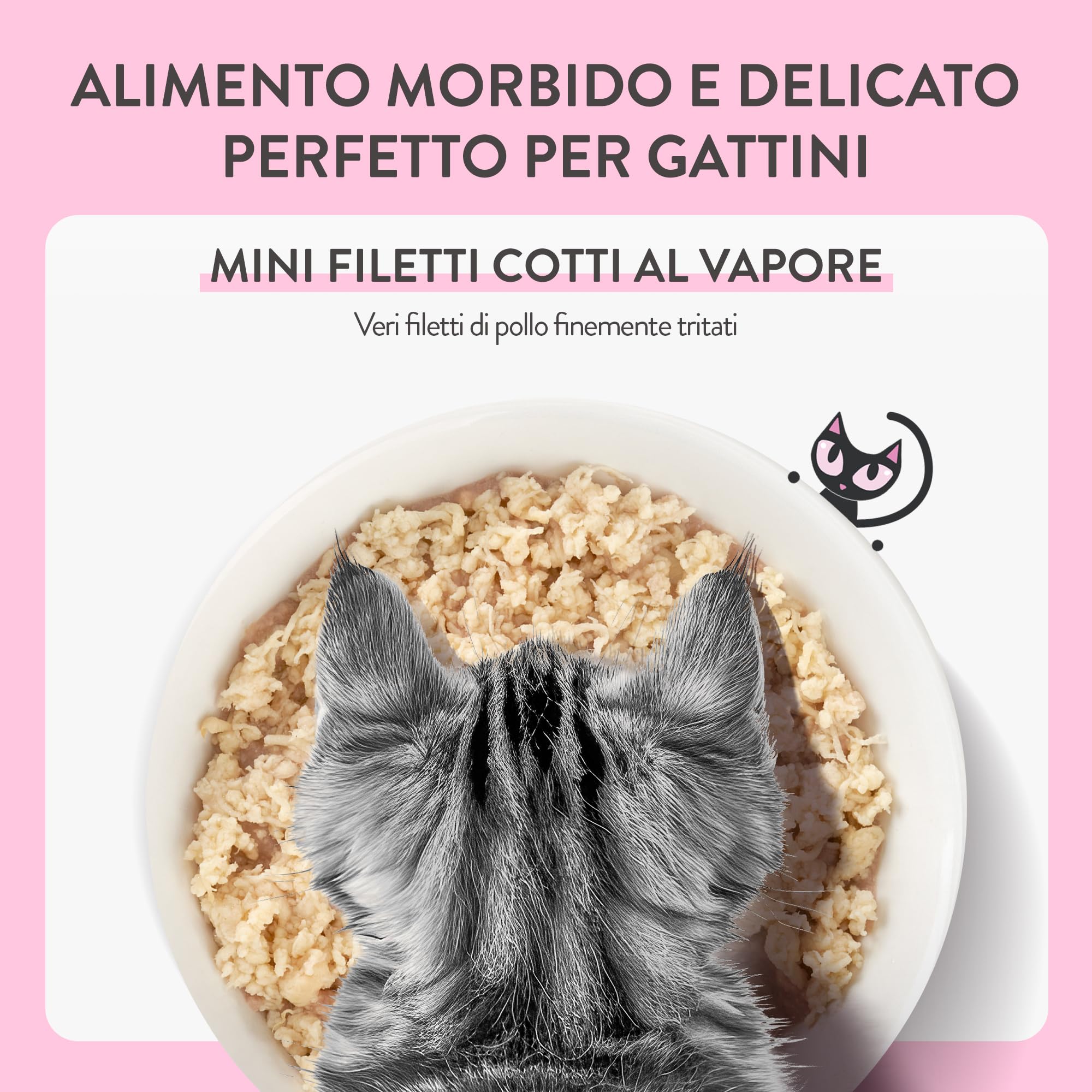 Schesir Baby, Filetes de Pollo con Hígado en Caldo, Alimento Húmedo Completo para Gatitos, Sin Cereales, con DHA y Taurina, Rico en Hidratación, 12 x 70g