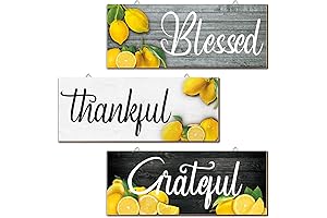 Lemon Wall Decor for Kitchen - Farmhouse Chic Wall Signs for Home Kitchen Decor