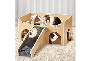 Guinea Pig Castle: A Palace for Your Furry Friends