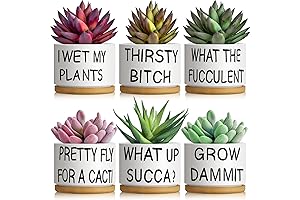 6 Pcs Funny Succulent Pots