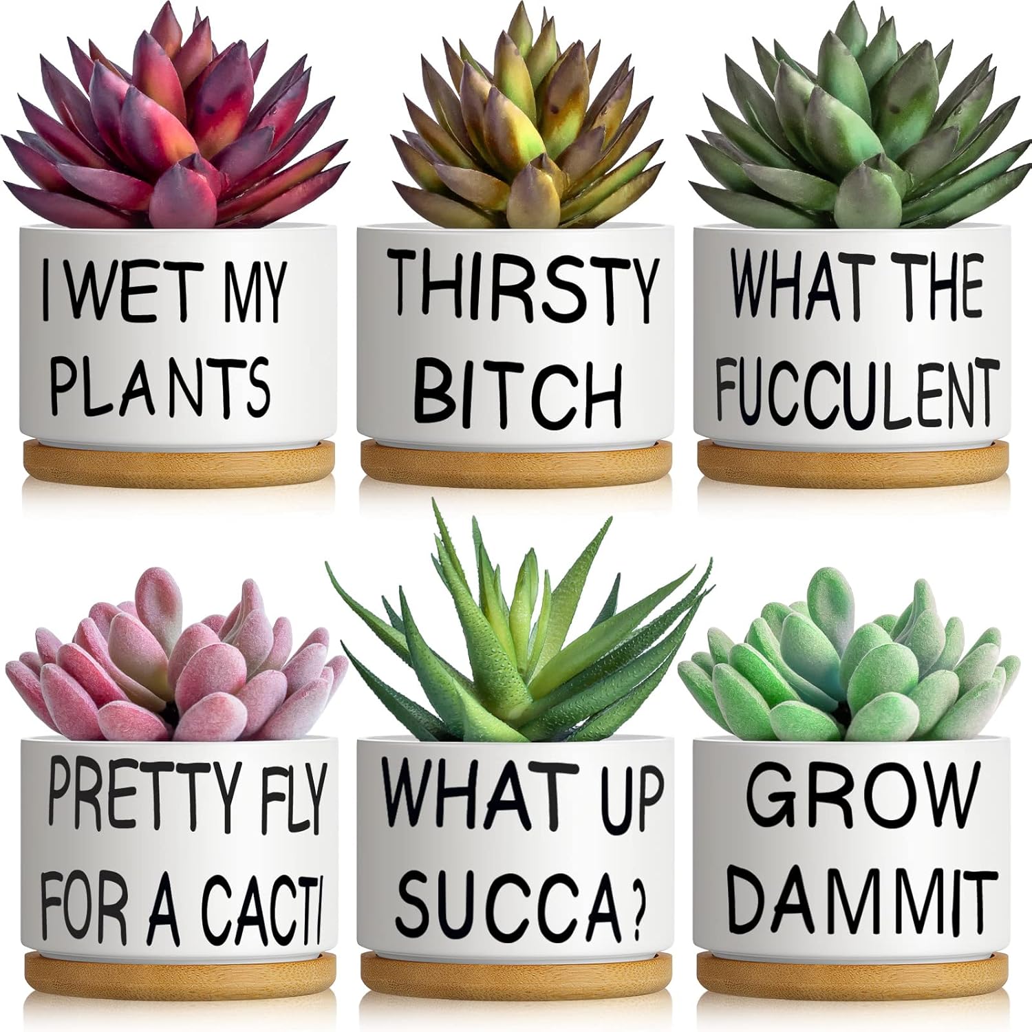Suclain 6 Set Succulent Flower Cactus Planter Gifts Plant Cactus Flower Ceramic Funny Planter Pots Succulent Planters with Drainage Hole and Bamboo Saucers for Women Men Party Favor