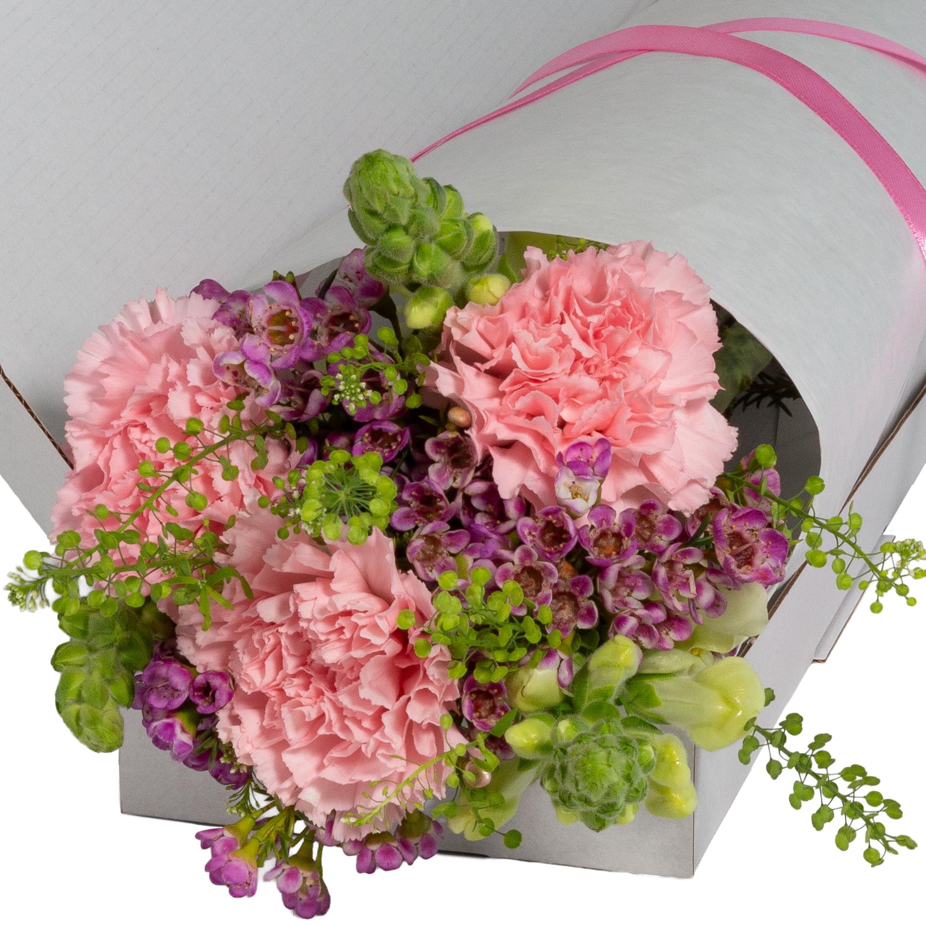 InterBloom Letterbox Fresh Flower Bouquet – Snapdragons & Carnations – Premium Florist Stems – Thoughtful Gift – Next Day UK Delivery