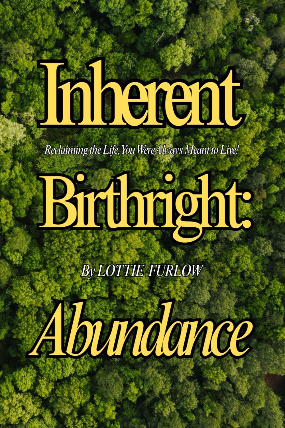 Inherent Birthright: Abundance: Reclaiming the Life, You Were Always Meant to Live!