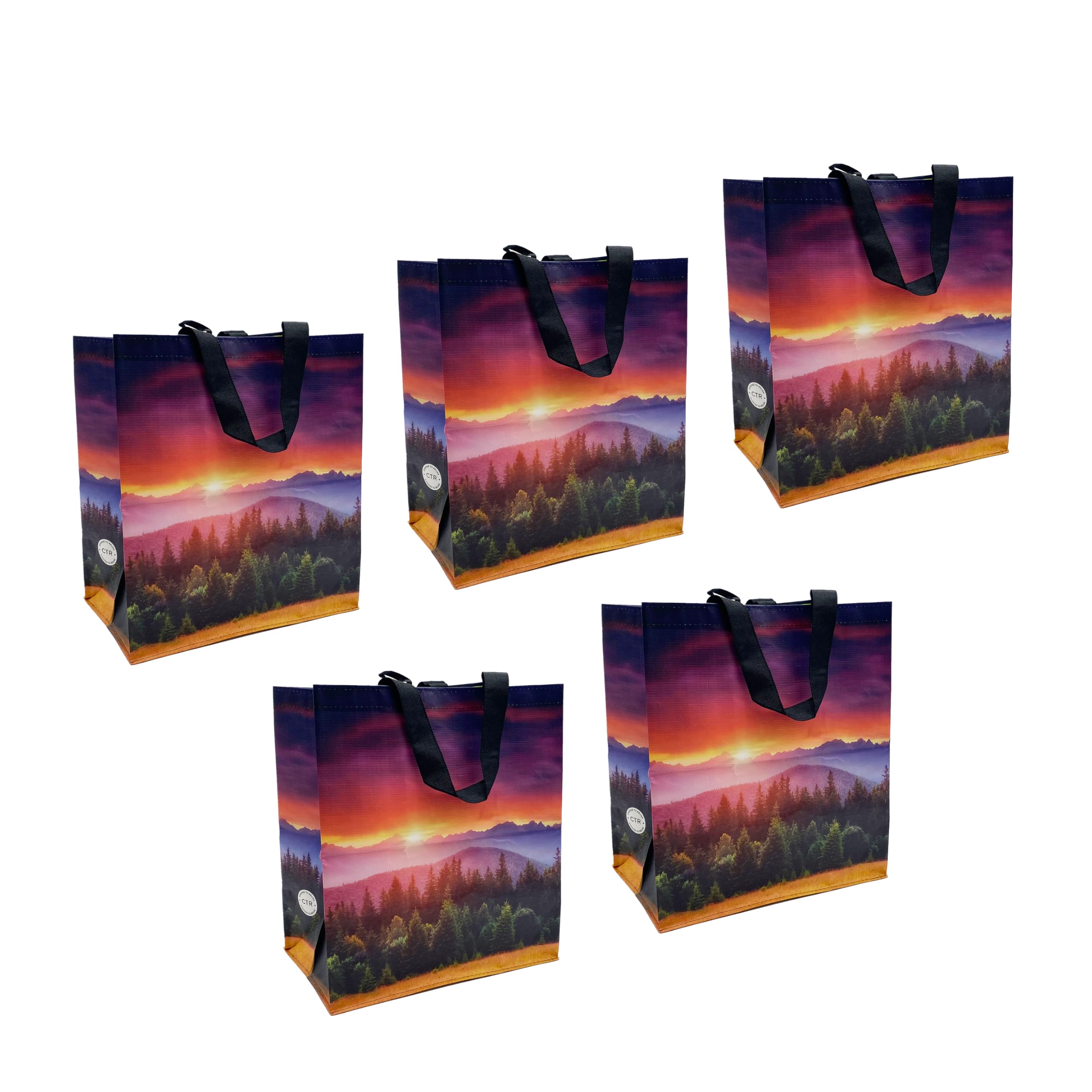 Earthwise Reusable Shopping Bags Extremely Durable Multi Use Large Stylish Fun Foldable Water-Resistant Totes