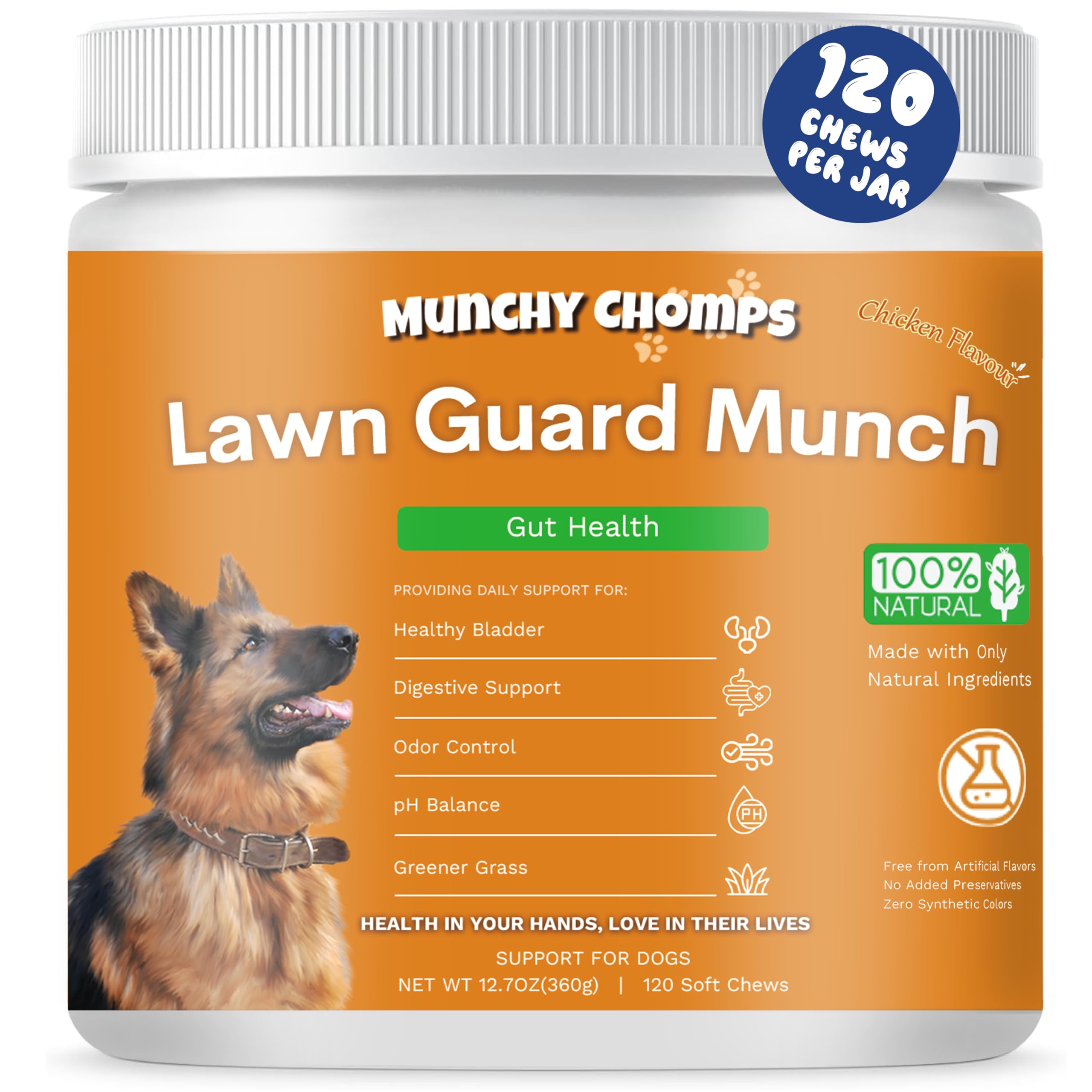 Munchy Chomps Lawn Guard Munch for Dogs - Supports Urinary Tract & Gut Health - Prevents Yellow Spots on Grass - with DL-Methionine, Fiber & Probiotics (Chicken)