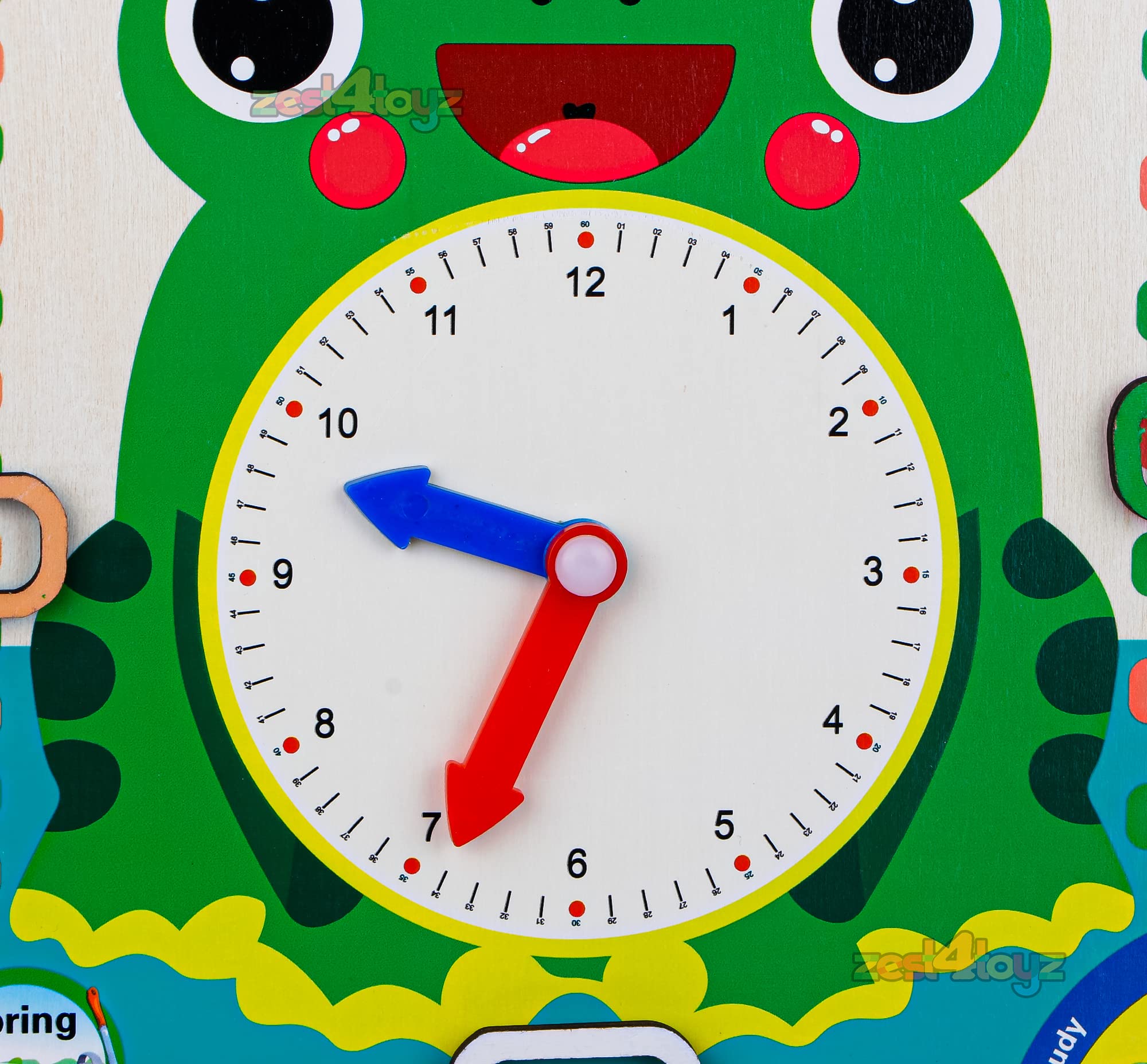 Zest 4 Toyz Learning Calendar Time and Seasons Game Wooden Clock Toy Calendar Board Shape Recognition Educational Learning Toy Frog (Green) - 3+ - Image 6 thumbnail