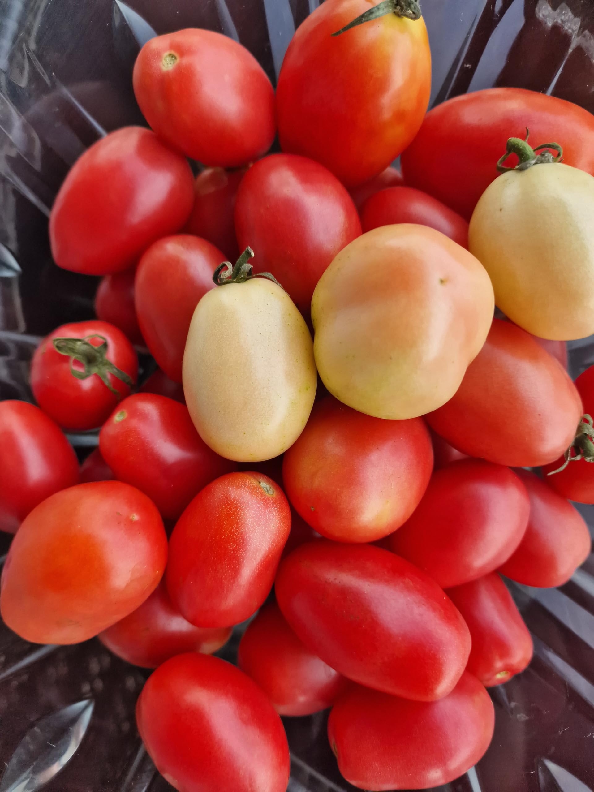 View 7