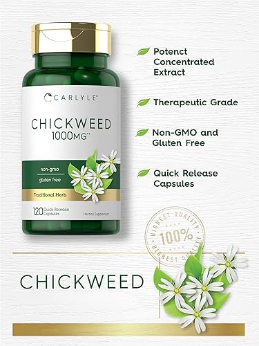 Miniatura 3 de Carlyle Cápsulas de pamplina | 120 unidades | Sin OMG, extracto sin gluten | Suplemento de hierbas