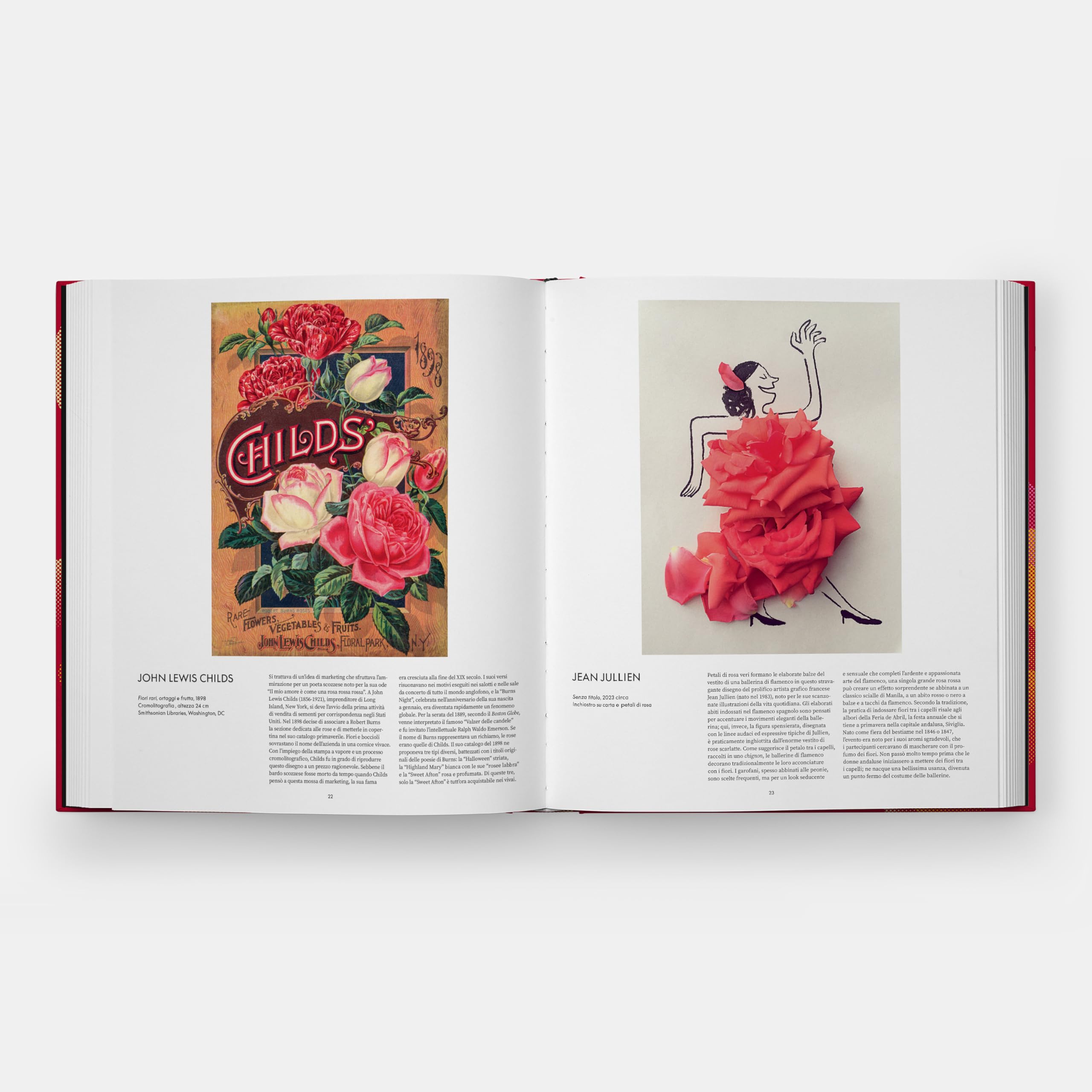 Il mondo delle rose