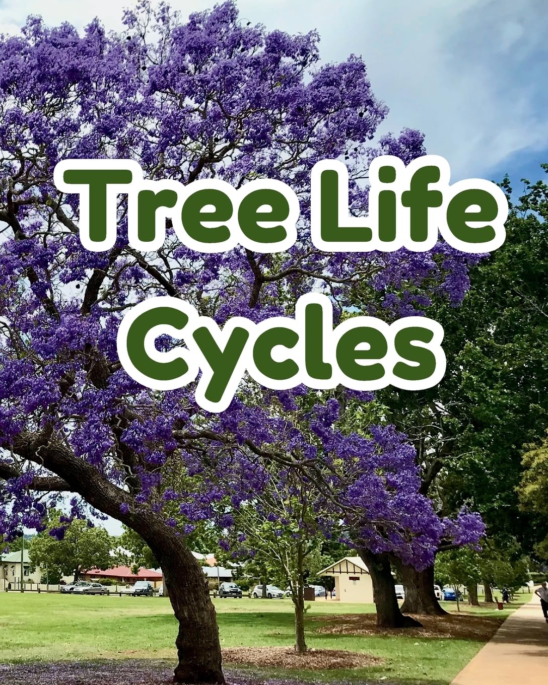 Life cycles of Trees for Early Learners