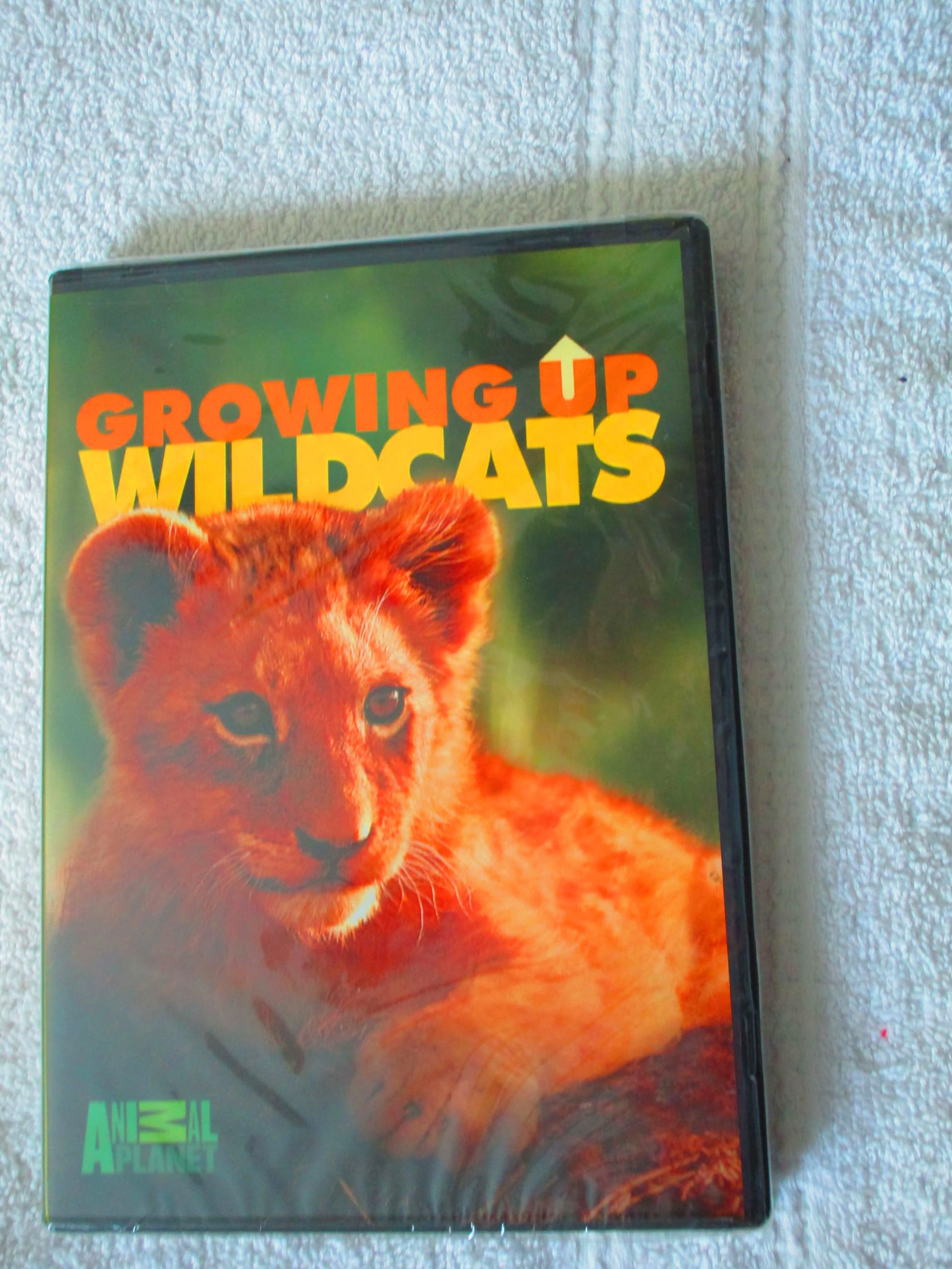 Animal Planet: Growing Up Wildcats [DVD]