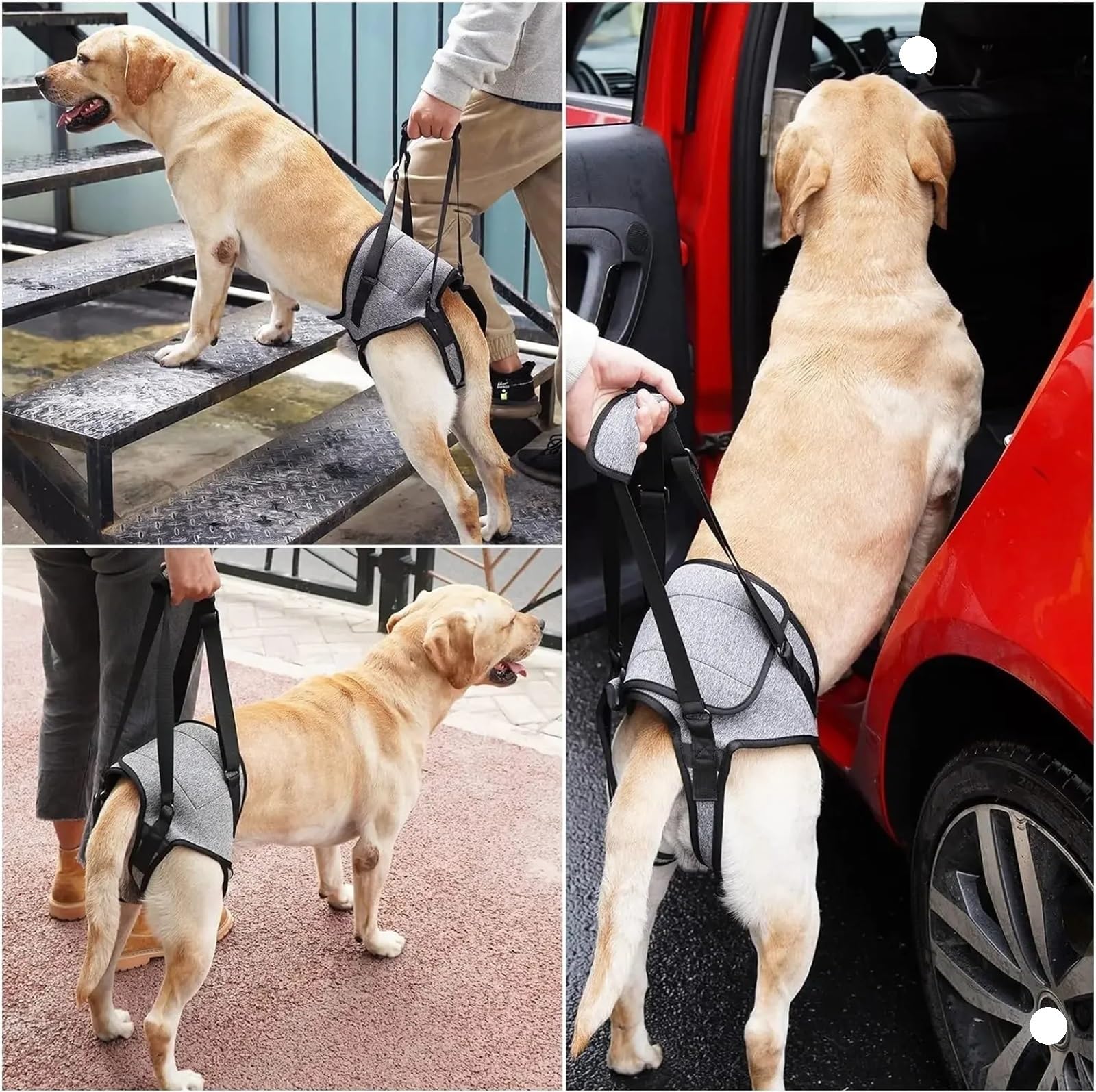 Hunde-Beingurt für Behinderungen, hilft beim Spazierengehen, Hilfsgurt, Erholung, postoperative Rehabilitation, Hundezubehör (M)