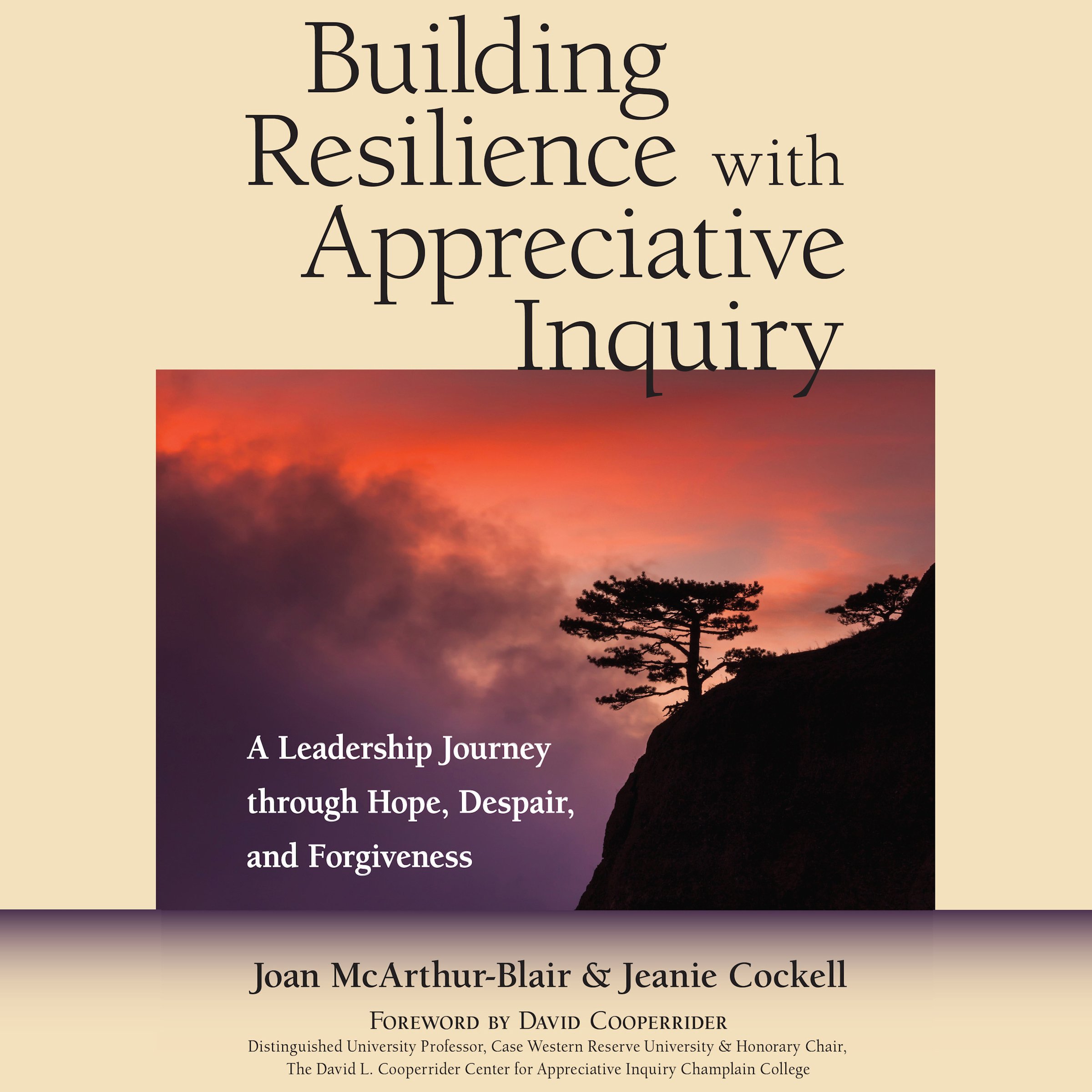Cover art for Building Resilience with Appreciative Inquiry