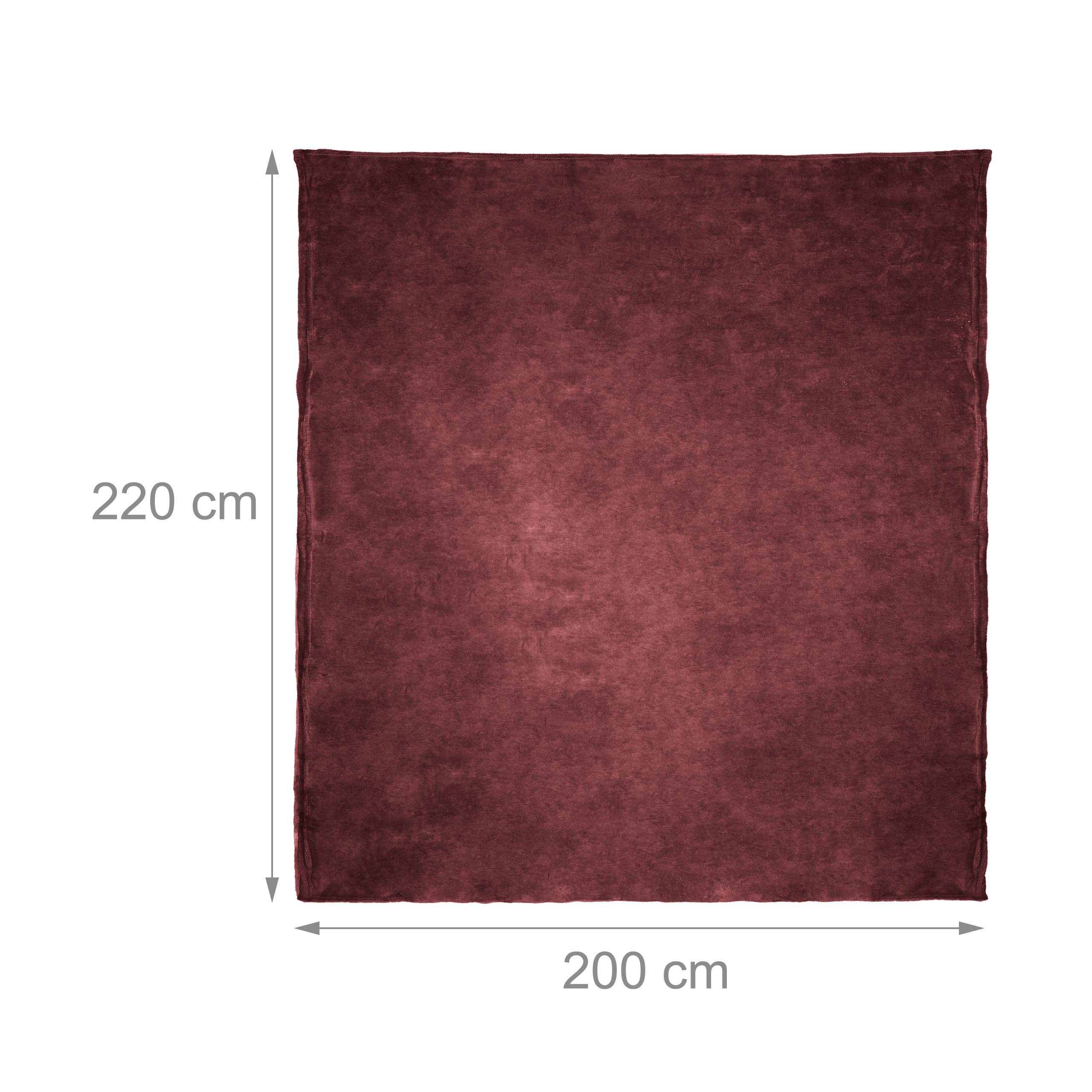 Relaxdays Morbida coperta extra large in poliestere, pile lavabile a 30°C, HLP: 1 x 200 x 220 cm, champagne | Leroy Merlin