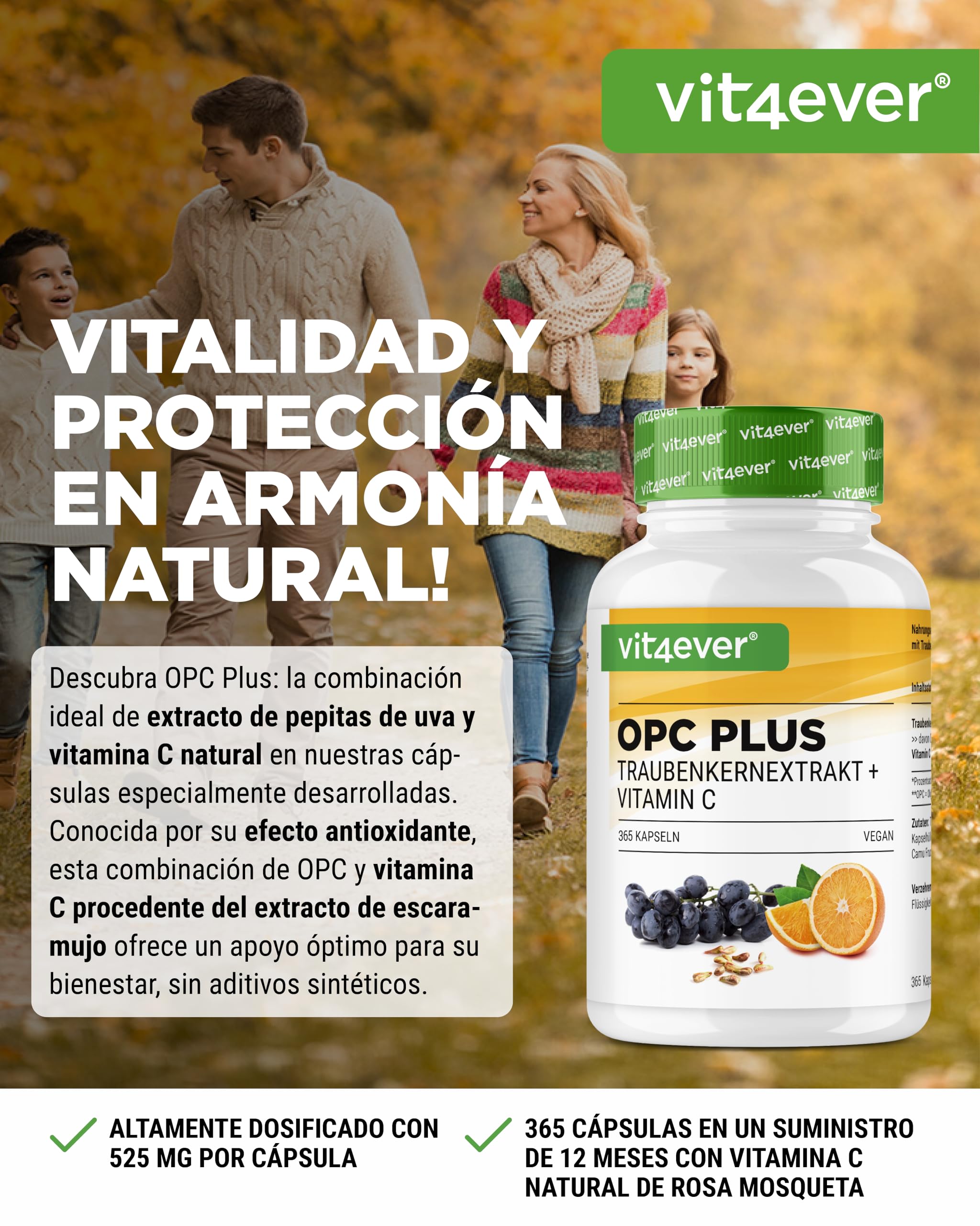 OPC extracto de semilla de uva + vitamina C natural - 365 cápsulas para 12 meses - Máximo contenido de opc según HPLC - Vegano