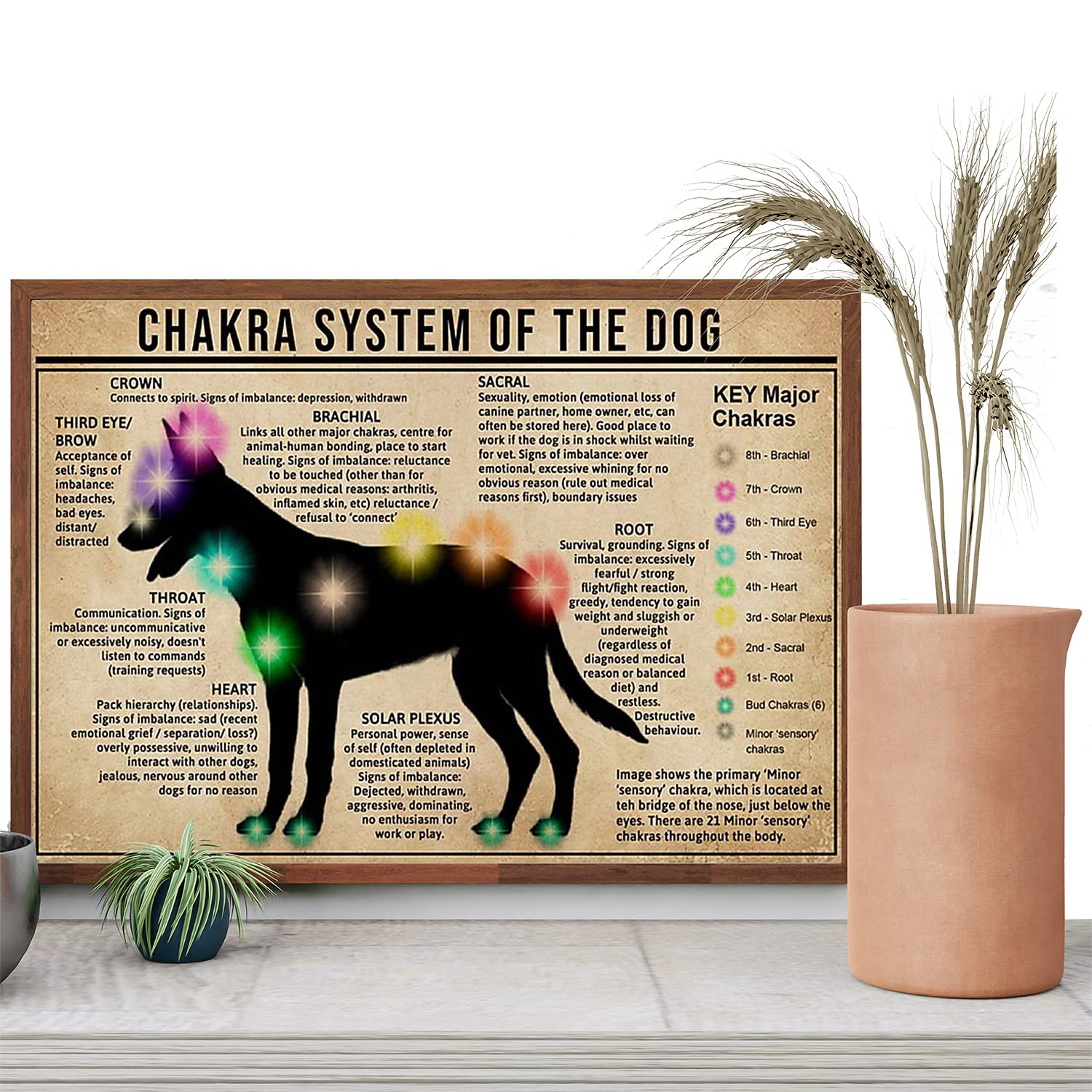 Anatomical Dog Knowledge Printing, Chakra Chart Of Body Dog Parts Wall Art, Chakra System Of The Dog Poster, Dog Anatomy Chart Poster, NO FRAME - 16x24in Poster