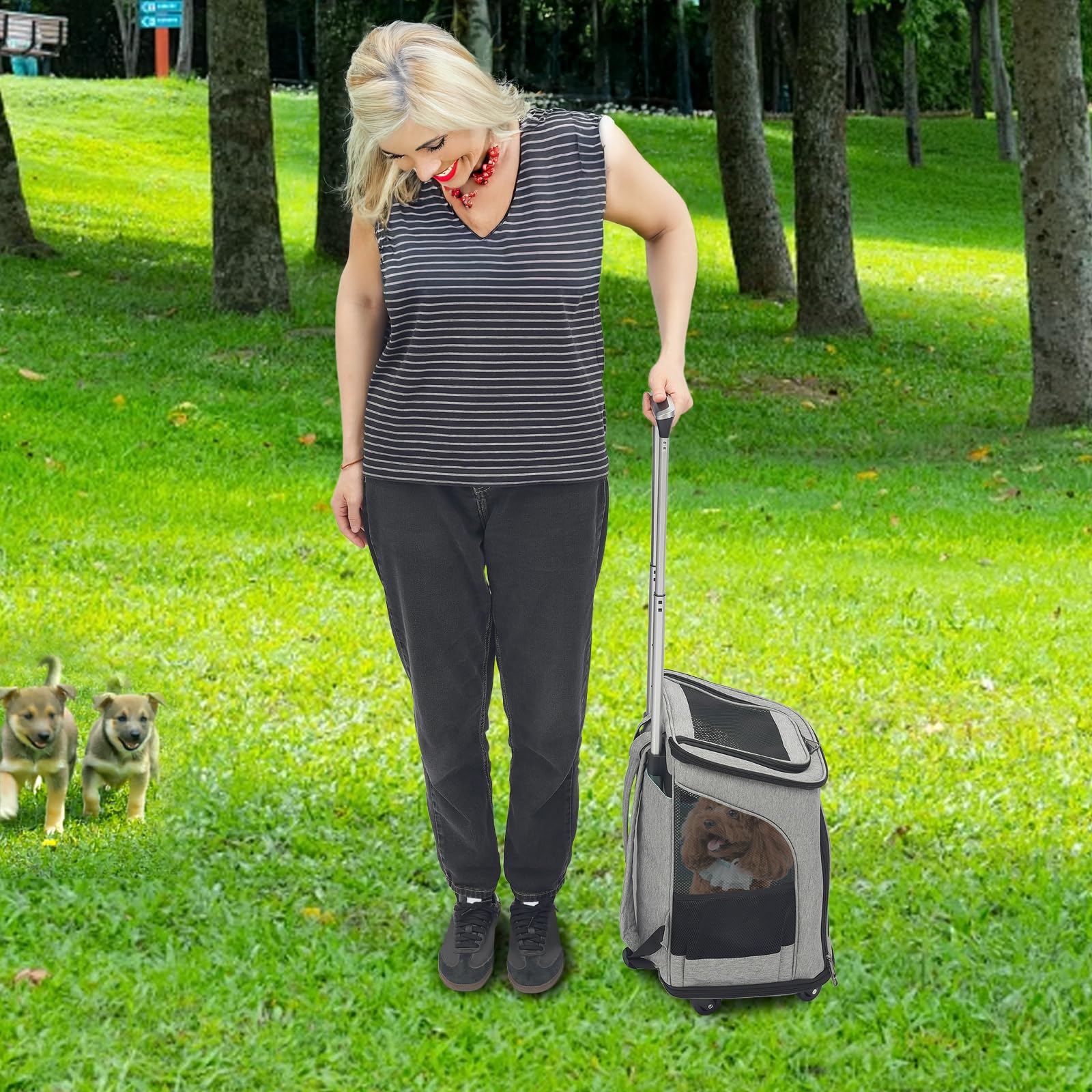 Transportín para perros con ruedas, 2 en 1, mochila para mascotas y carrito para perros, caja de transporte para gatos con asa telescópica, para gatos pequeños, perros de hasta 9 kg (gris)