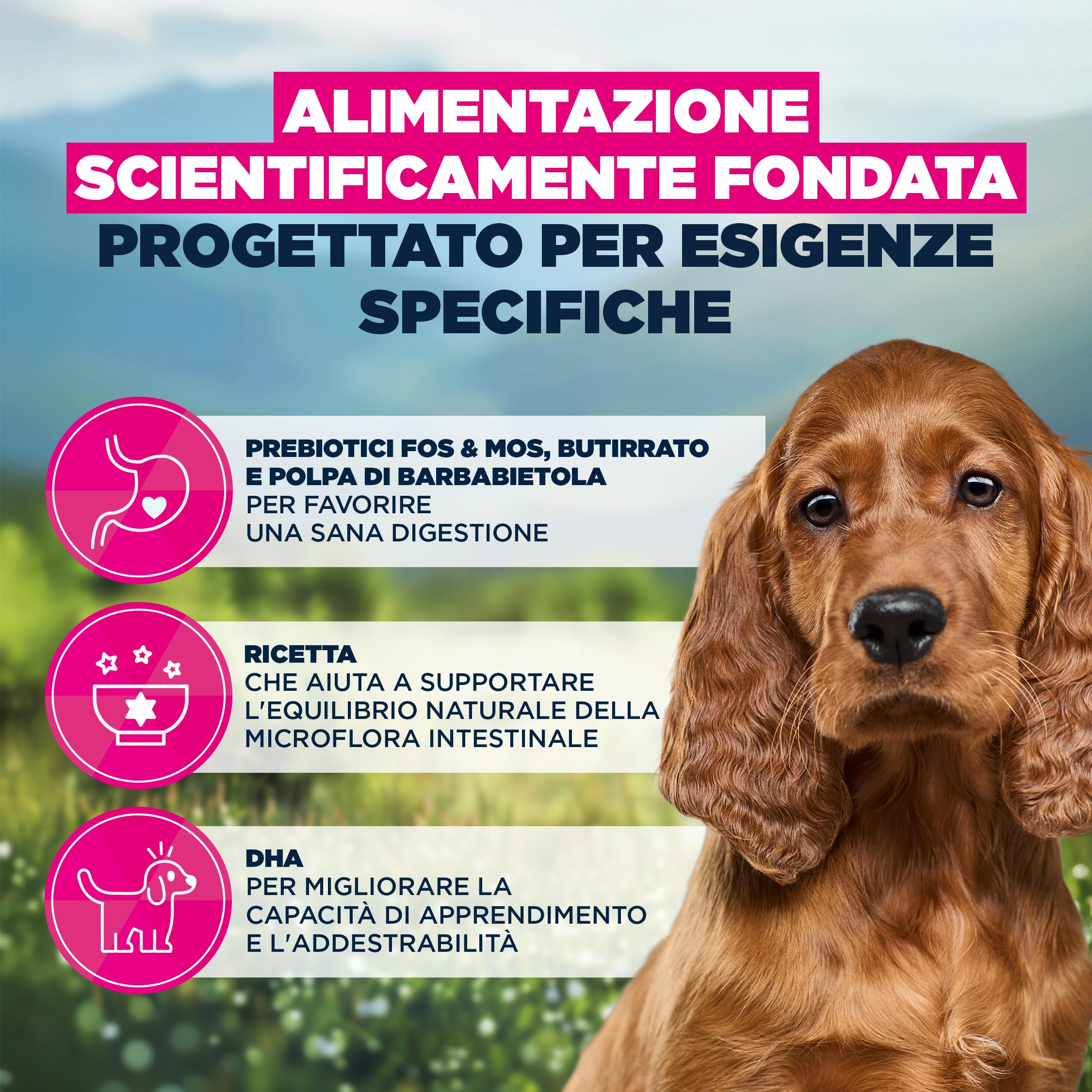 EUKANUBA Sensitive Digestion Cibo per cani con pollo e riso ad alta digeribilità - Mangime secco Special Care delicato sullo stomaco per cani giovani con sensibilità digestiva, 12 kg