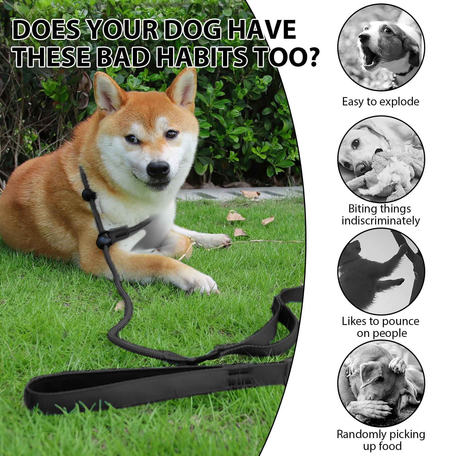 Laisse Pour Chien, 3 M Laisse Rétractable Pour Chien, Pour Petits, Moyens Et Grands Chiens, Rose