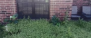 Review Image by DARLENE L BRAGGS DARLENE L BRAGGS