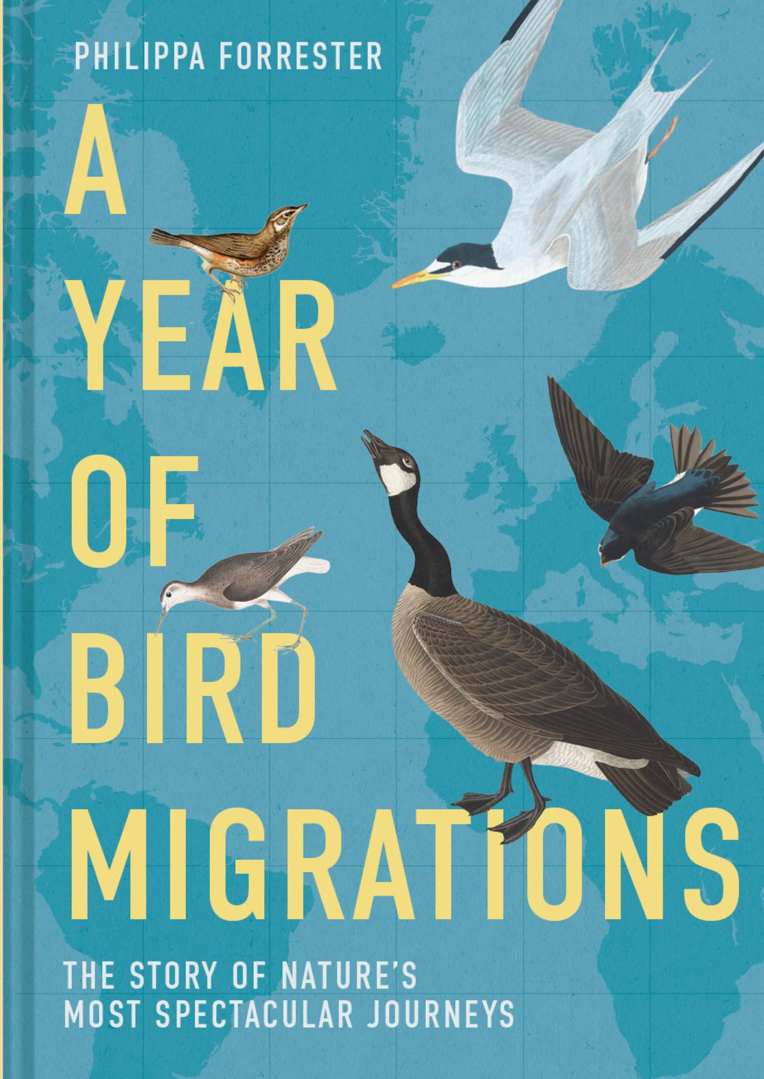 A Year of Bird Migrations: The story of nature's most spectacular journeys