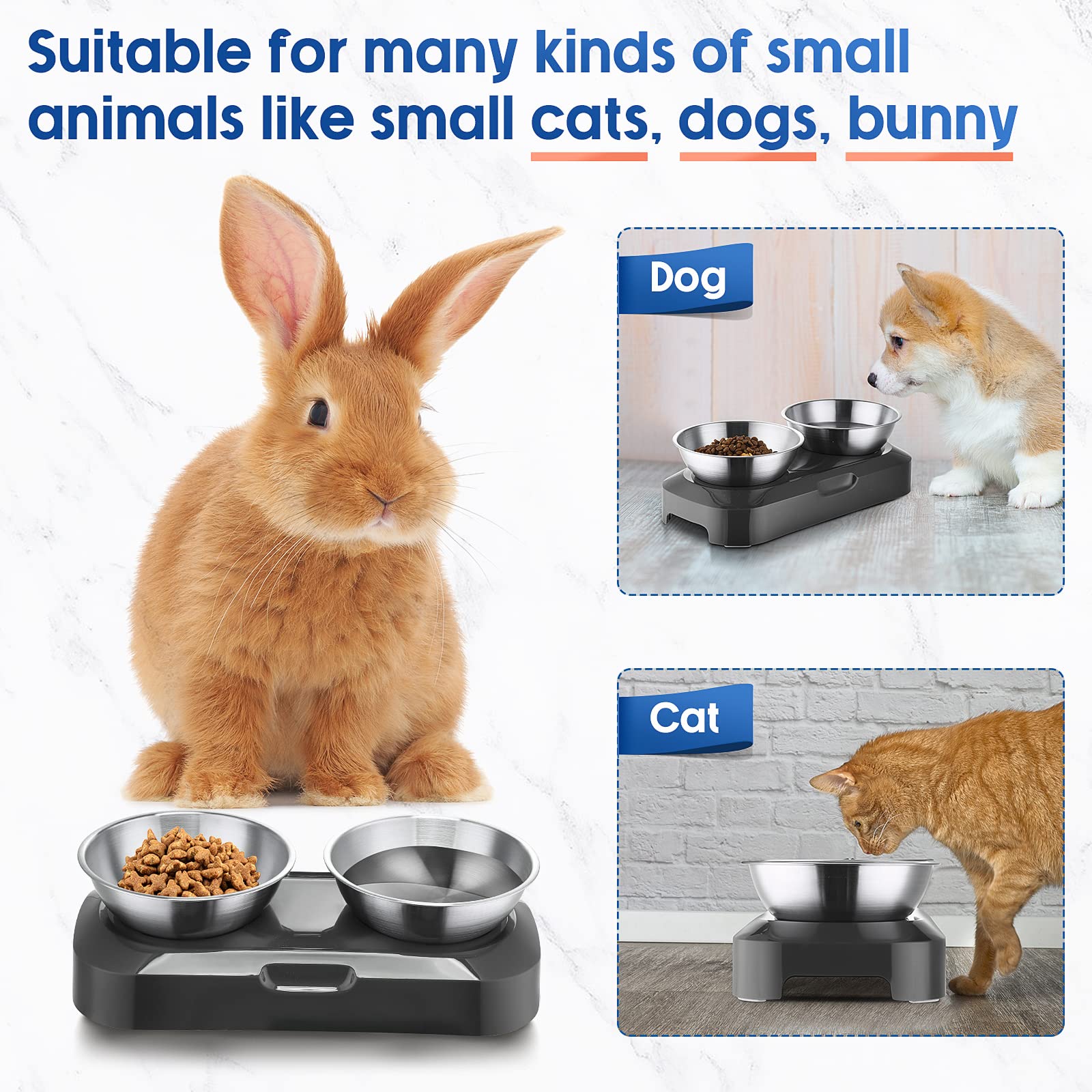 2 Pack Elevated Tilted Cat Bowls Stainless Steel Raised Cat Food and Water Bowl Set 0 and 15Â