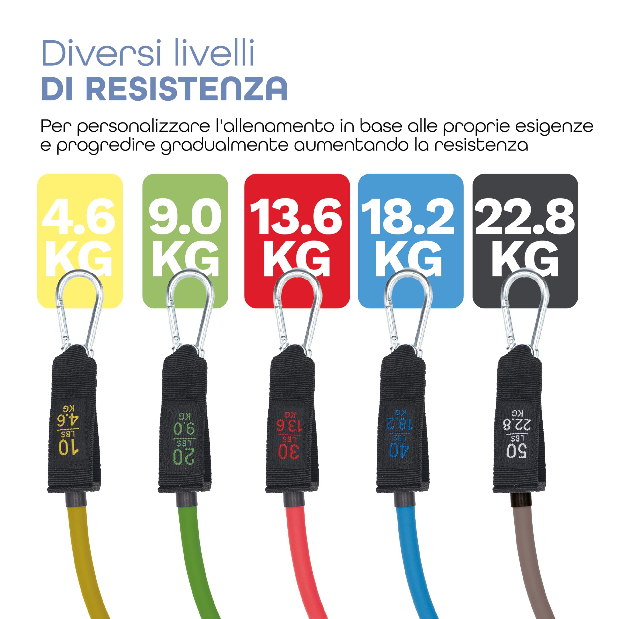 SETGOWELL - Set Elastici Fitness Di Resistenza Con 5 Diverse Bande Elastiche, Elastici Fitness Uomo e Donna In Lattice Naturale, Home Gym Elastici Palestra Premium, Inclusa Corda Per Saltare