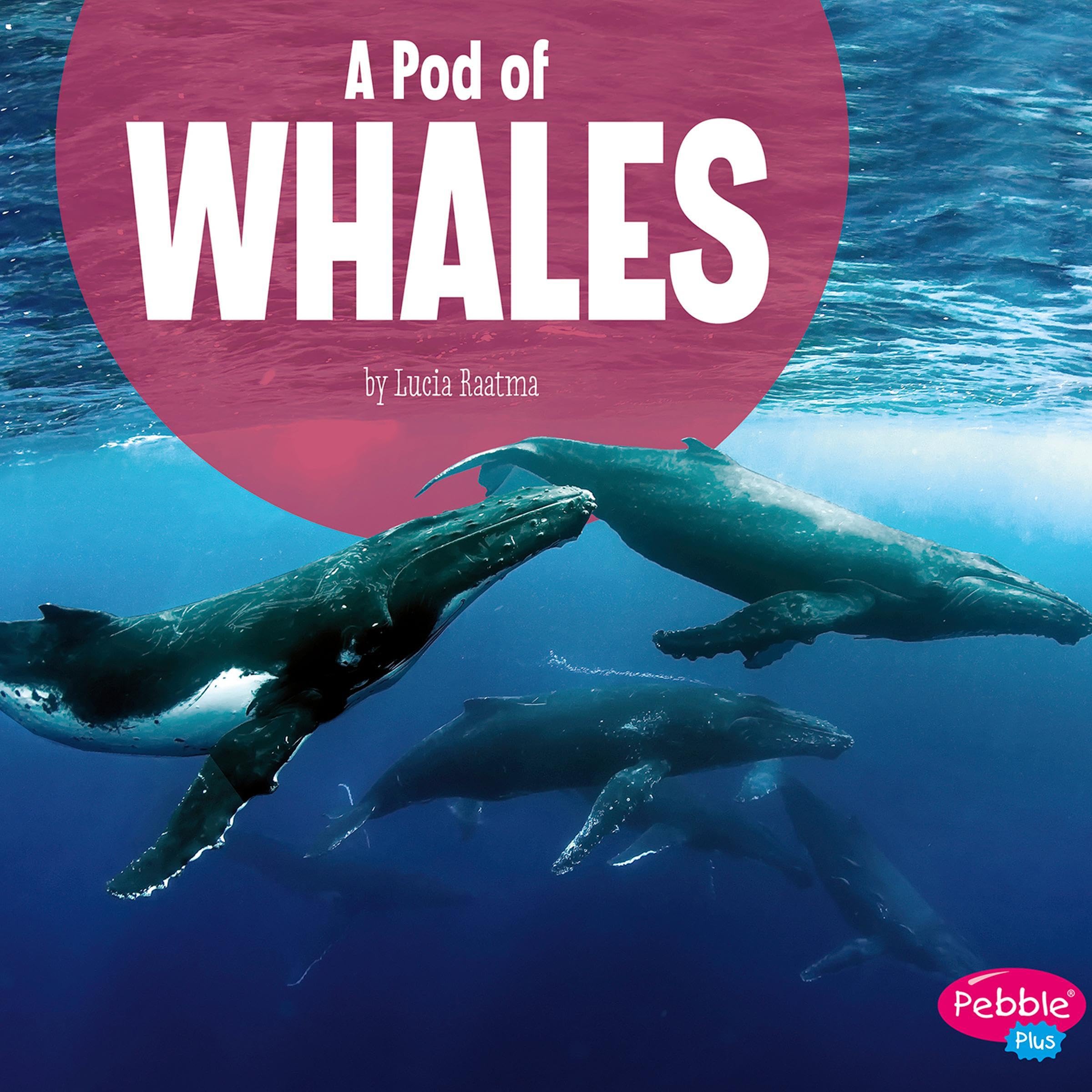 A Pod of Whales