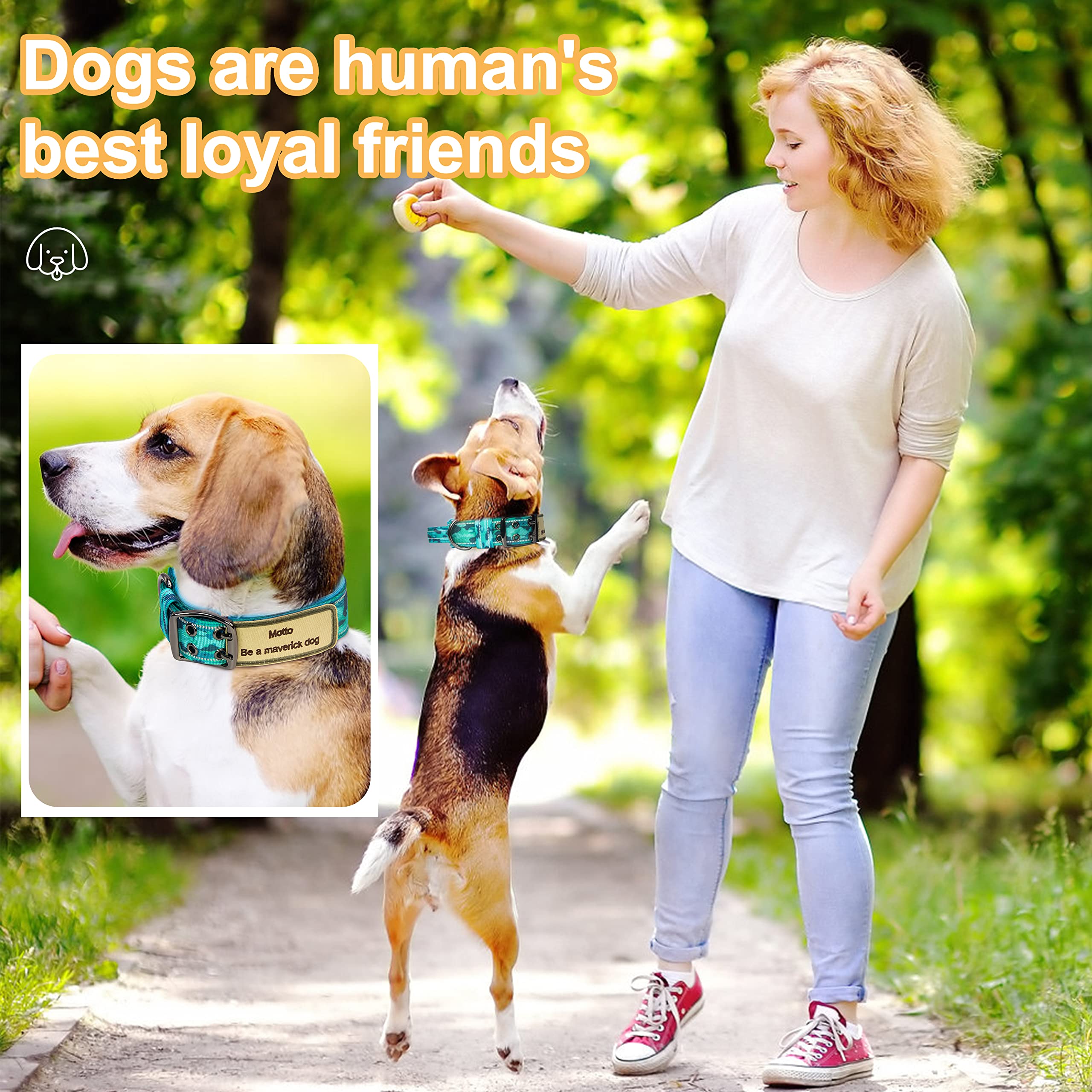 Leash Best Bark Collar For Beagle Vicyuns Tactical Dog Collar And