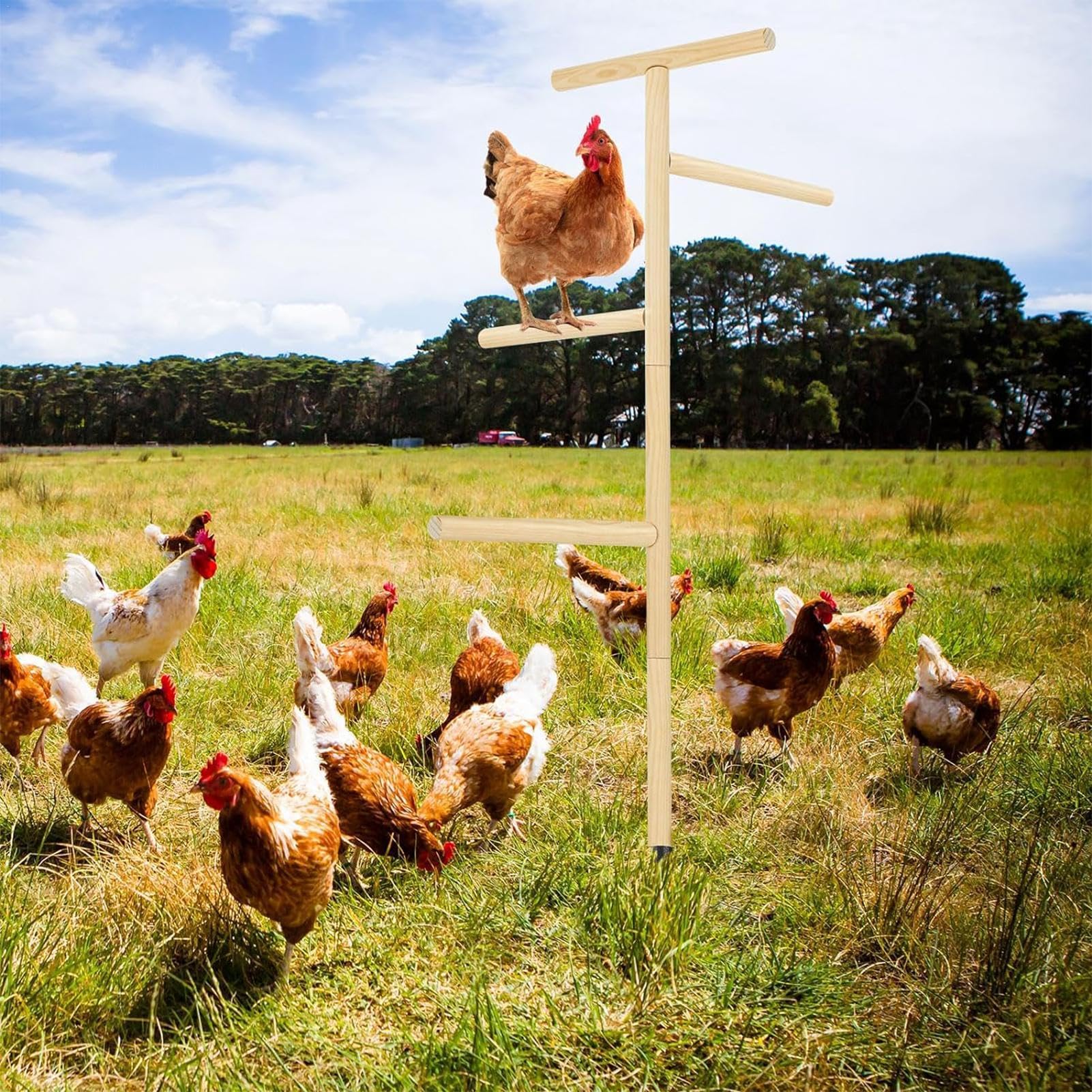 grande para perca para pollos - Perca para aves de corral, Soporte de perca para pollos al aire libre de hierro | Juguetes de enriquecimiento de pollos Rama de entrenamiento | Parque infantil, juguetes de enriquecimiento para pollos, percha e