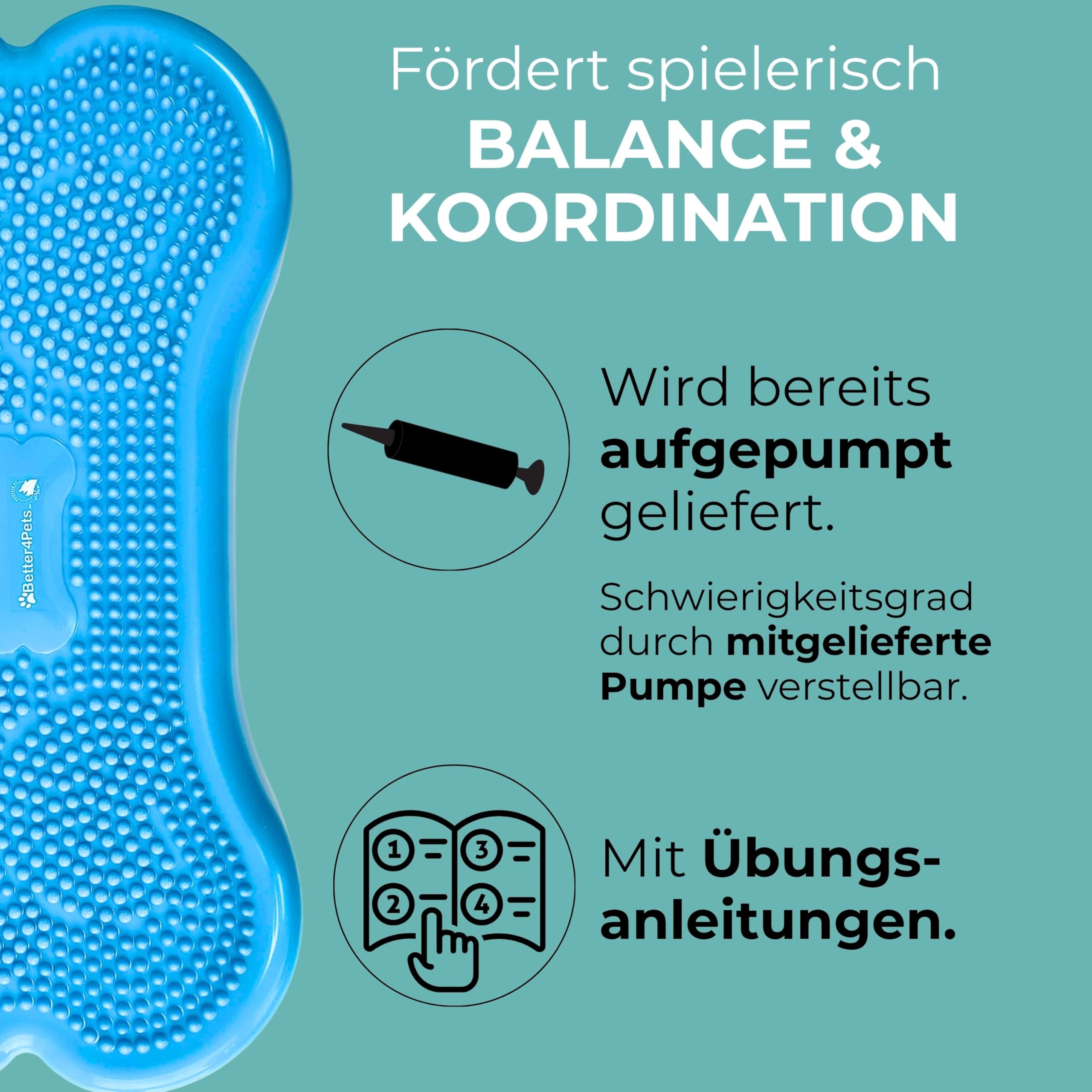 Wolfpack® Fitness Dog Bone – Balance Pad & Physio Wackelkissen für kleine & große Hunde – krallenfestes Trainingsgerät & Balancekissen | Better4Pets-Edition (Blue)