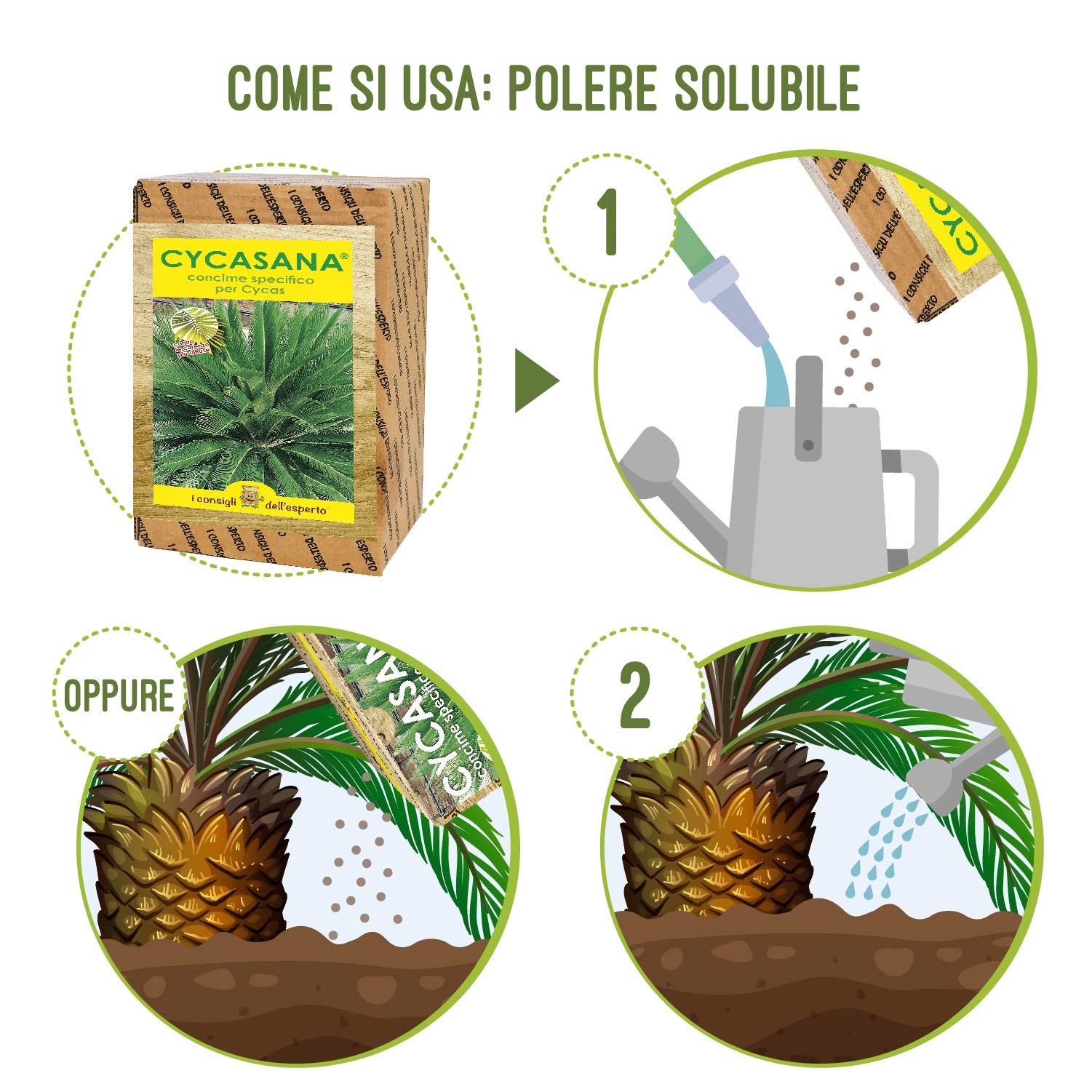 I Consigli dell’Esperto – Cycasana 0.75kg – Concime specifico per Cycas e Piante Tropicali – Concime Bicomponente Idrosolubile NPK+ Zolfo Correttivo del Terreno – Per Ingiallimenti e Disseccamenti