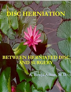 Disc Herniation - Between Herniated Disc & Surgery (3. API - aging pain inflammation)