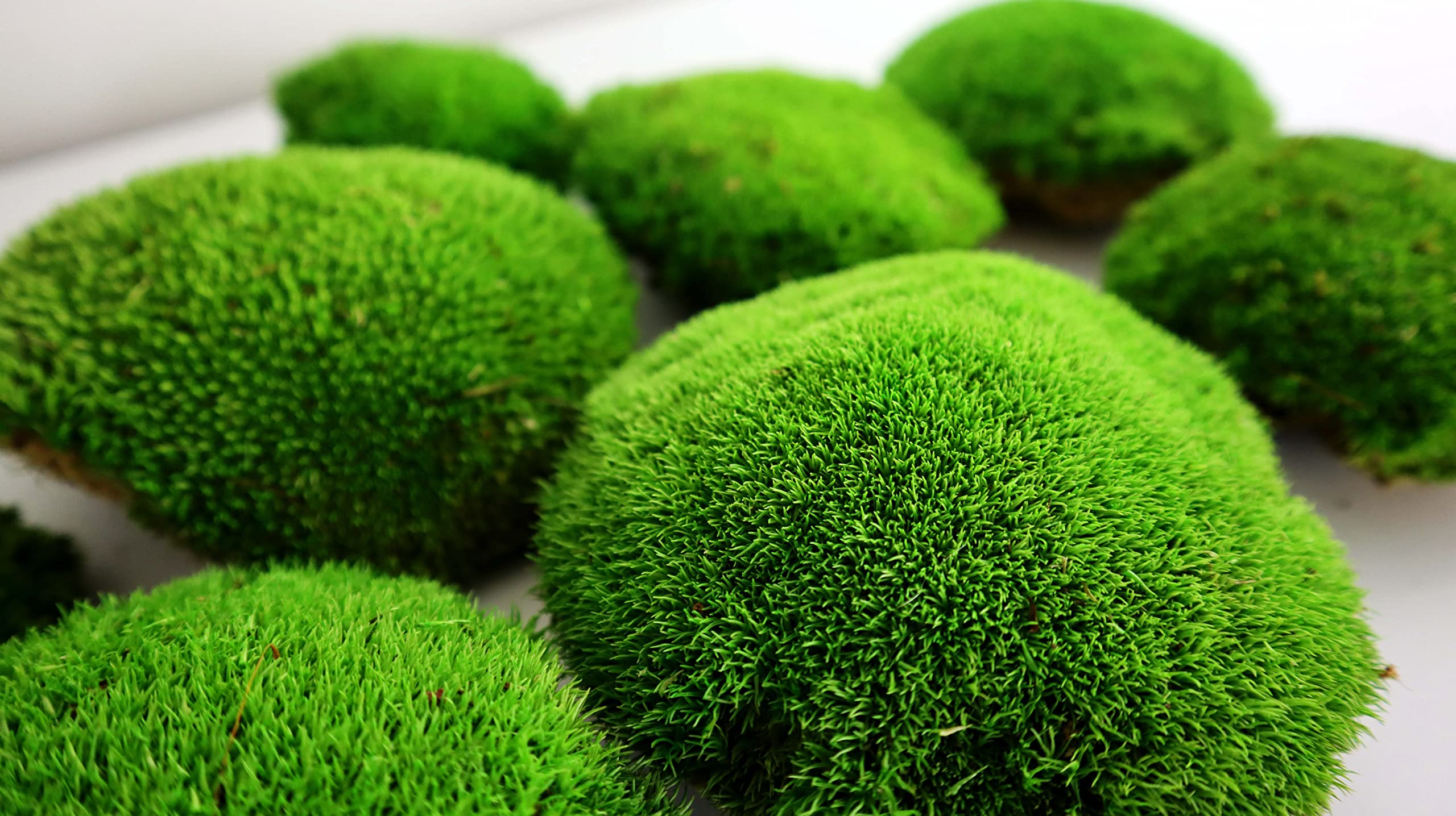 Groene mosbal 15 cm - Lifestyle By Leonie Groene mosbal 15 cm - Lifestyle By Leonie