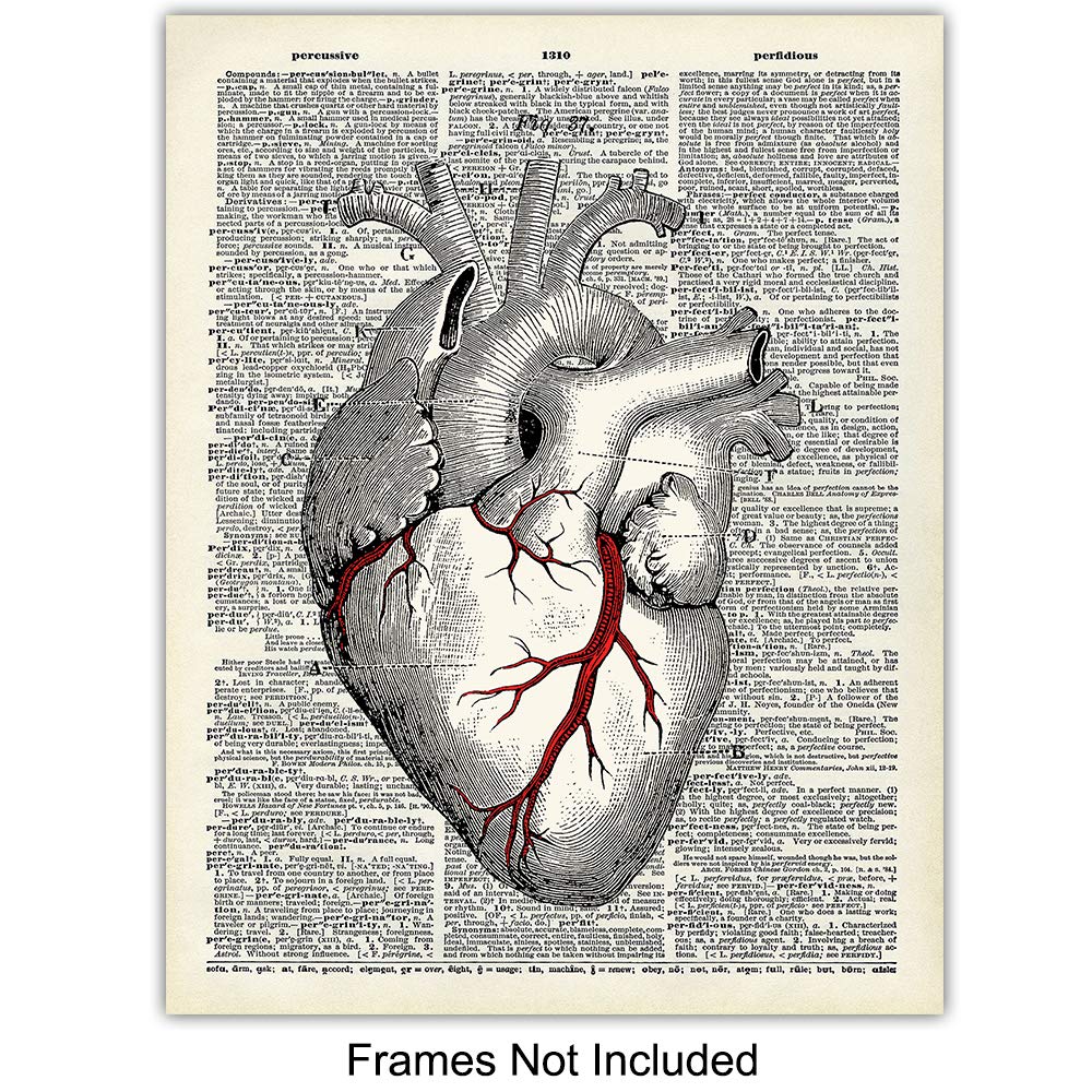 Human Anatomy Vintage Organs Dictionary Wall Art 8x10 Shabby Chic ...