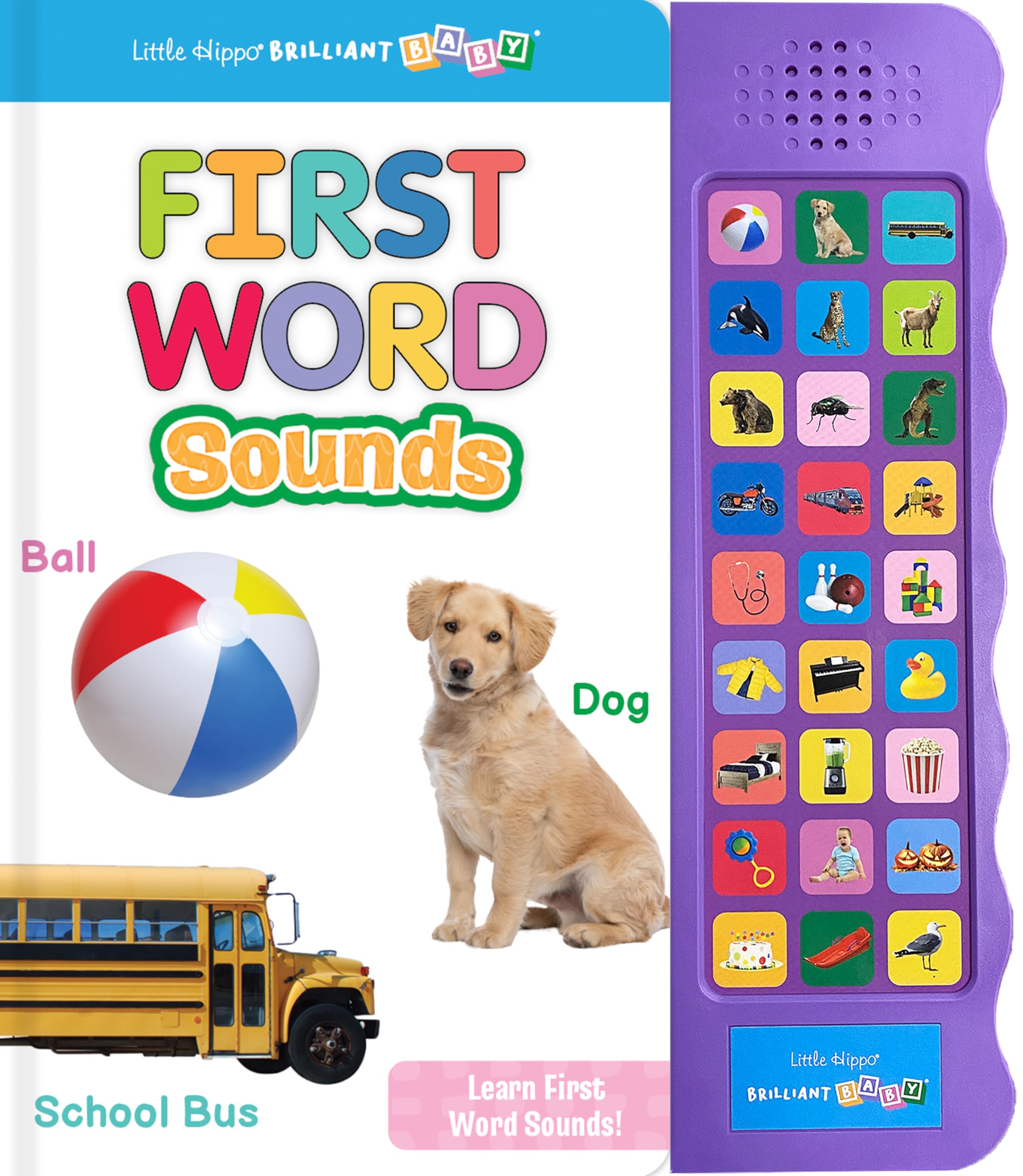 Little Hippo Books Listen and Learn First Words Book Preschool