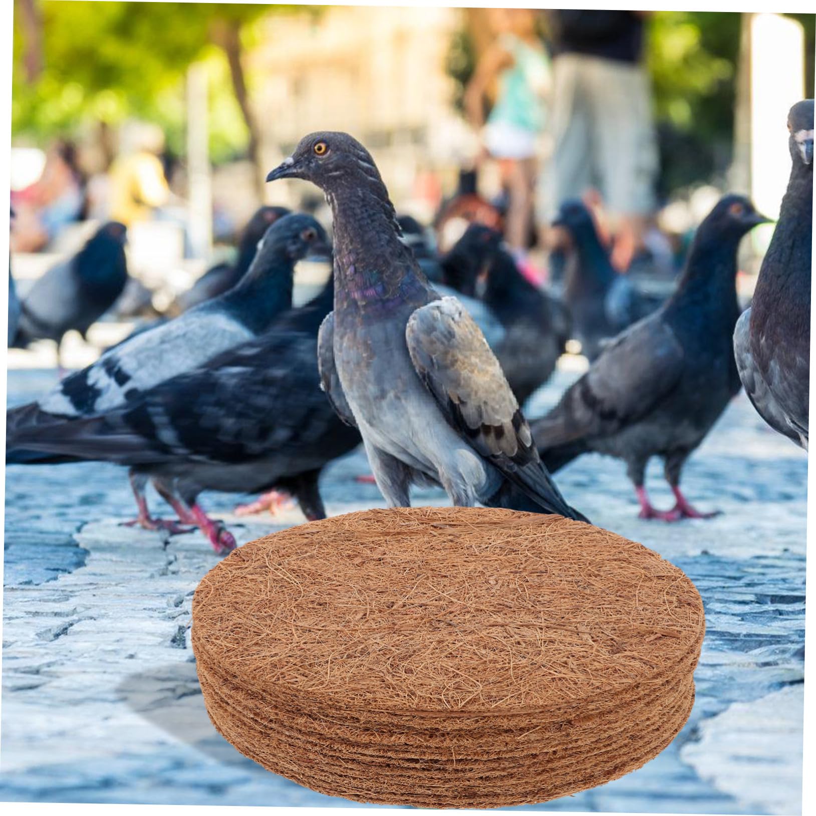 Almohadilla de Cría de Aves de Fibra de Coco, Tapetes Duraderos para Nidos de Pájaros, 12 Piezas, Ligeros y Seguros para Huevos y Mascotas en Anidación