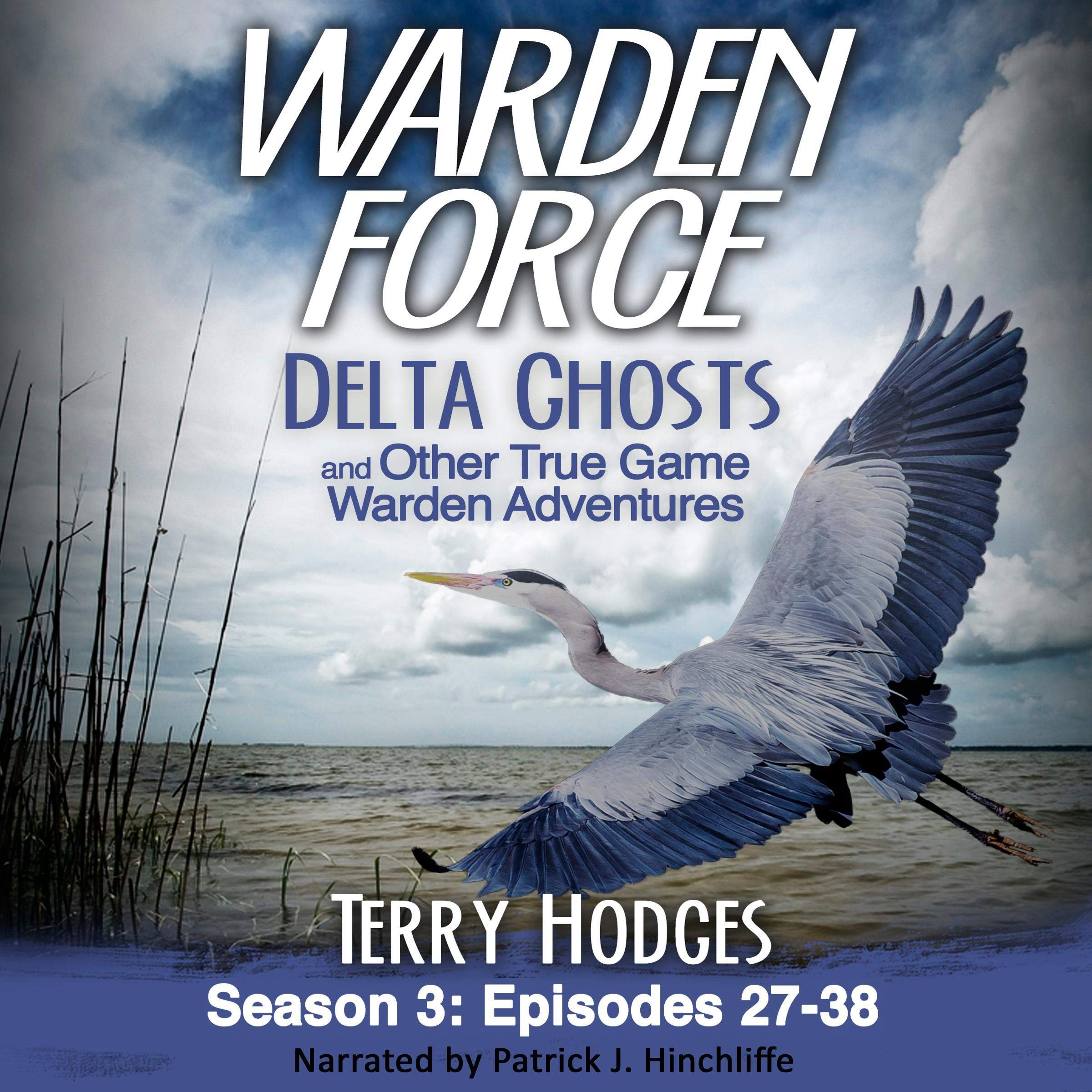 Cover art for Warden Force