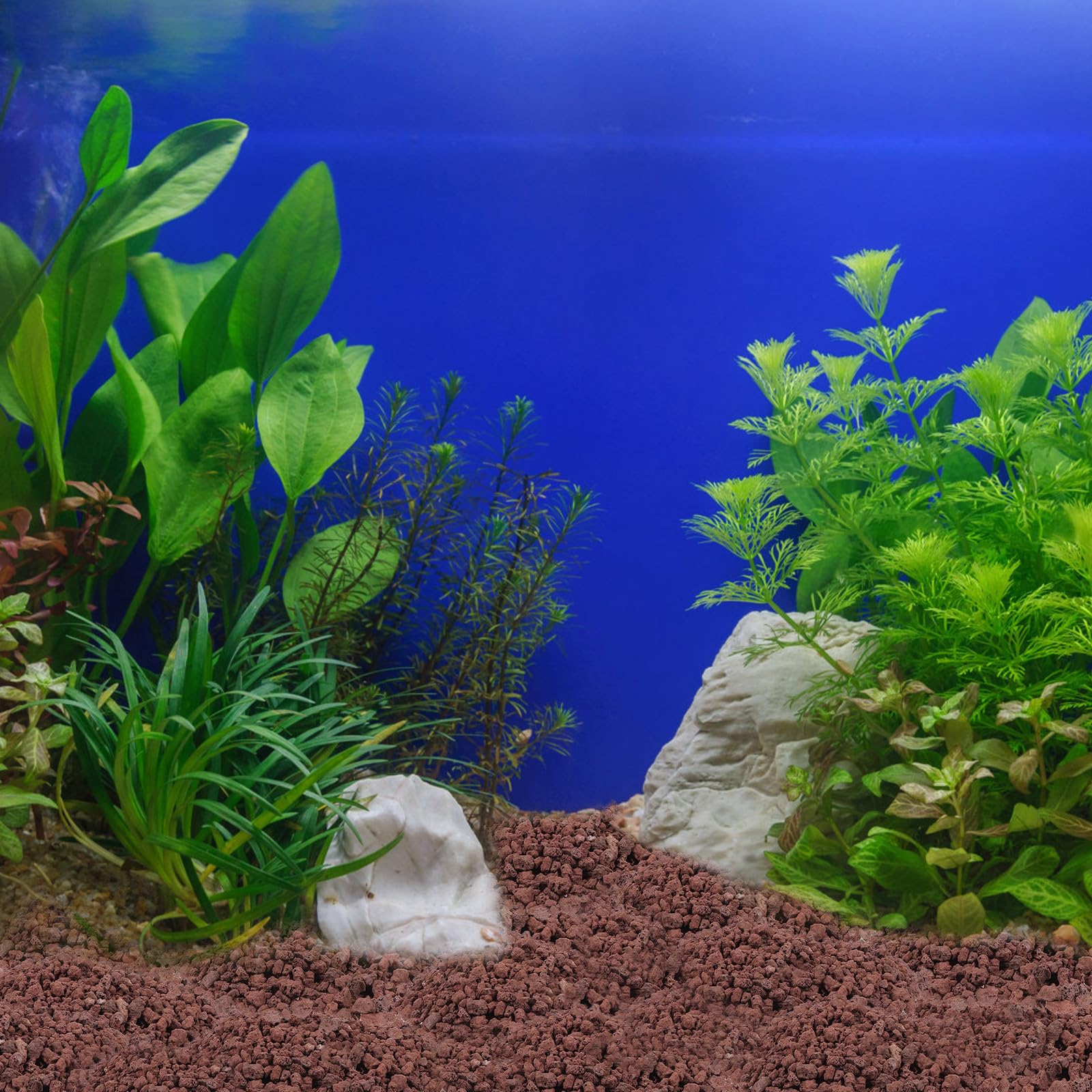SUPVOX Piedras Volcánicas Naturales para Acuario y Macetas, (300g) Decorativas para Jardinería y Paisajismo, Grava Volcánica para Decoración de Peceras y Plantas