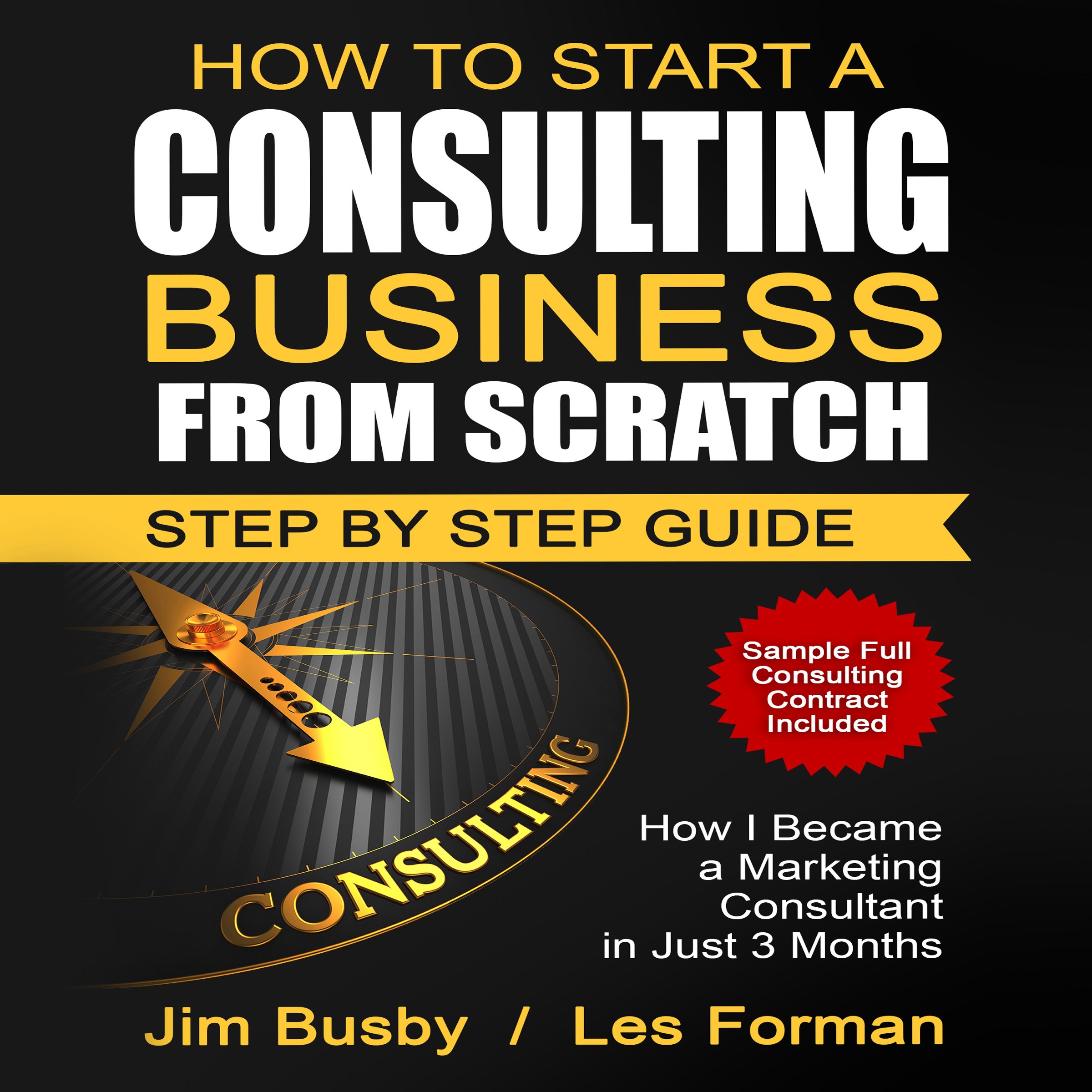 Cover art for How to Start a Consulting Business from Scratch: Step by Step Guide