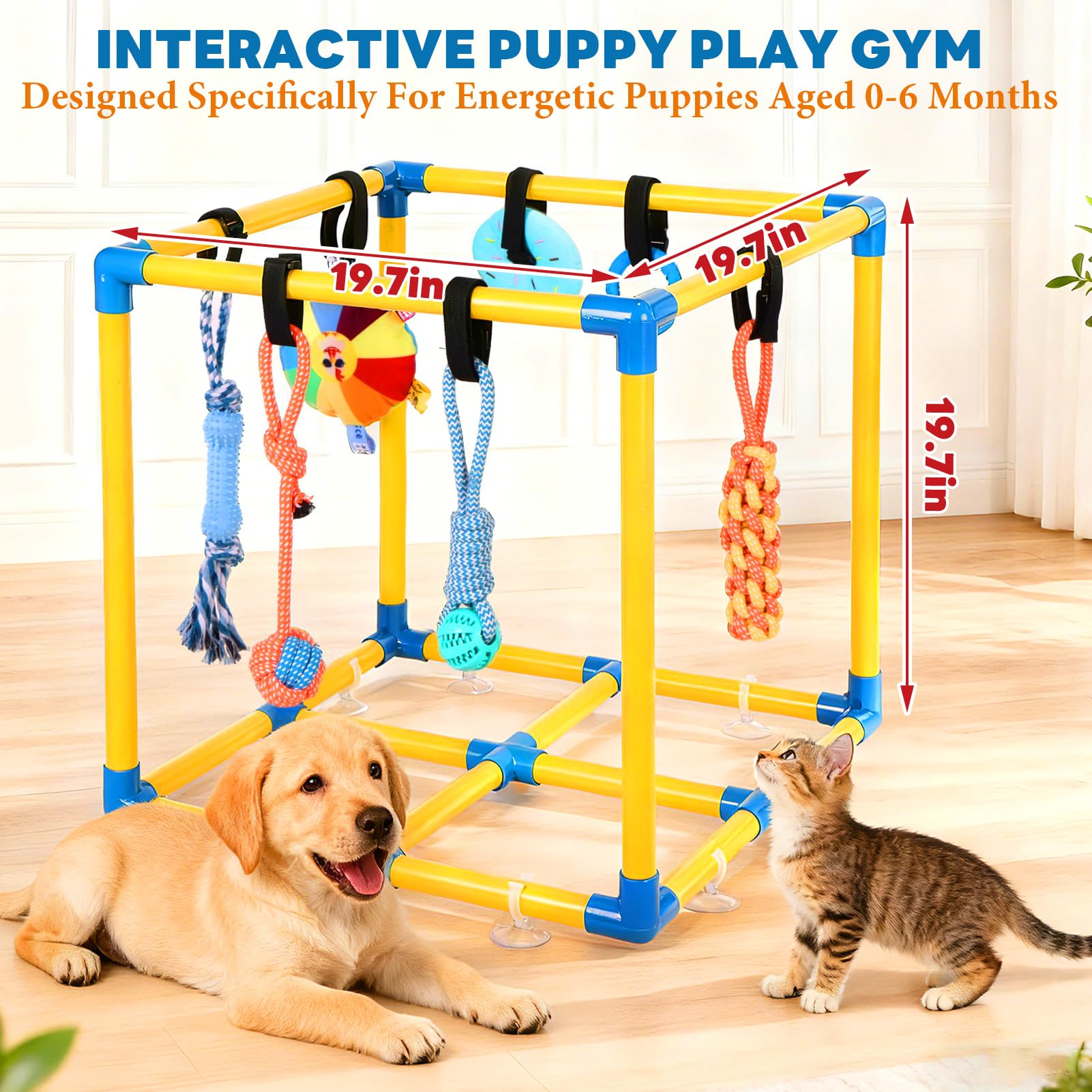 WLLEYAY Welpenspielstudio für kleine Hunde mit 10 hängenden Spielzeugen, abnehmbarer Indoor-Dschungel-Fitnessstudio, PVC-Rahmen mit verstellbaren Bungee-Gurten, interaktives Hundespielzeug
