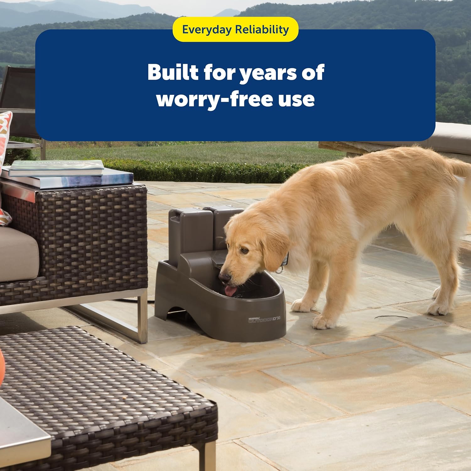 PetSafe Drinkwell Replacement Filter Pack for Outdoor Dog Water Fountain, 3 Carbon Filters & 1 Foam Filter
