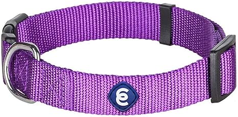 Blueberry classic nylon dog collar Clearance